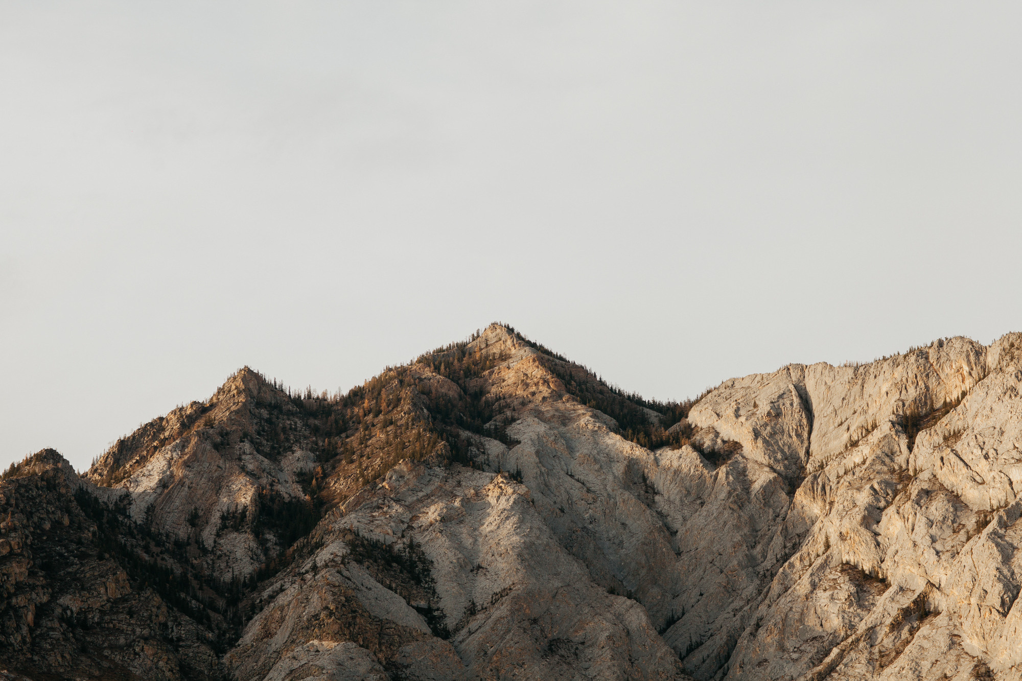 Portland, Seattle, Bend & Oregon Coast Elopement Photography | Olga & Alex Engagement Session by Georgy Shishkin. Capturing Love in the Heart of the Pacific Northwes