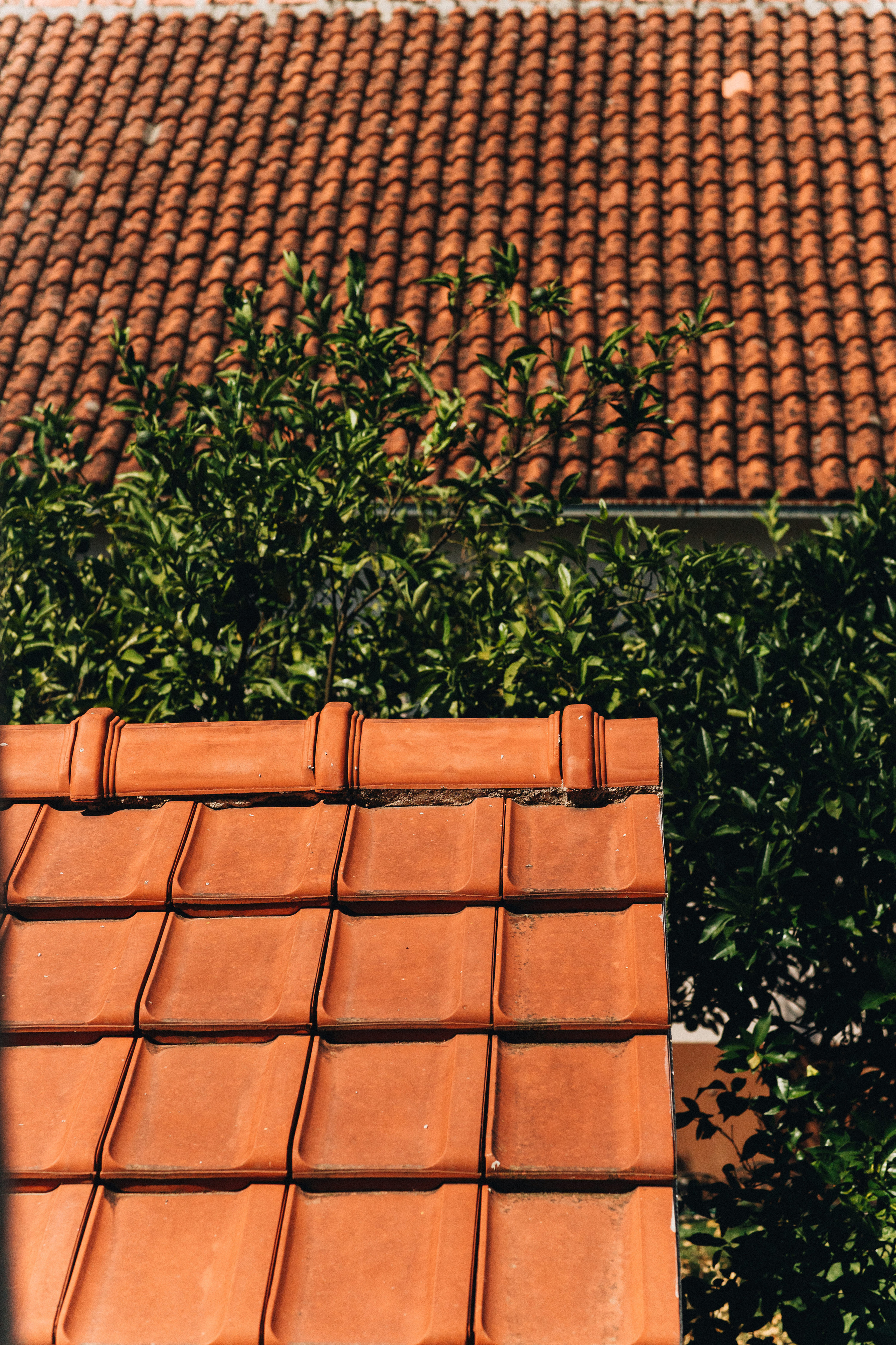 Portland, Seattle, Bend & Oregon Coast Wedding Photography | Destination Weddings in Montenegro by Georgy Shishkin. Capturing Love in the Heart of the Pacific Northwes