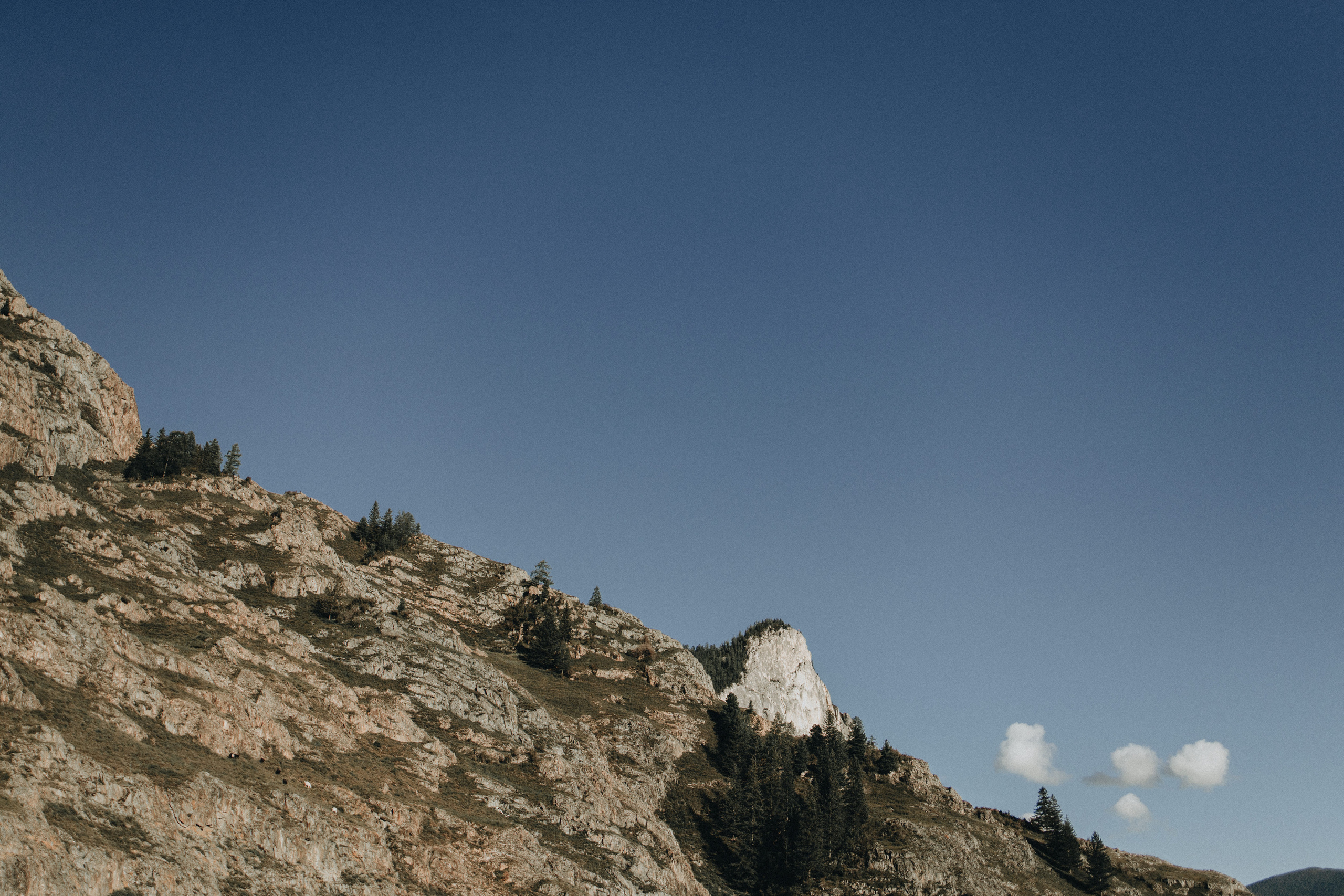 Portland, Seattle, Bend & Oregon Coast Elopement Photography | Alex & Michael's Mountain Wedding by Georgy Shishkin. Capturing Love in the Heart of the Pacific Northwes