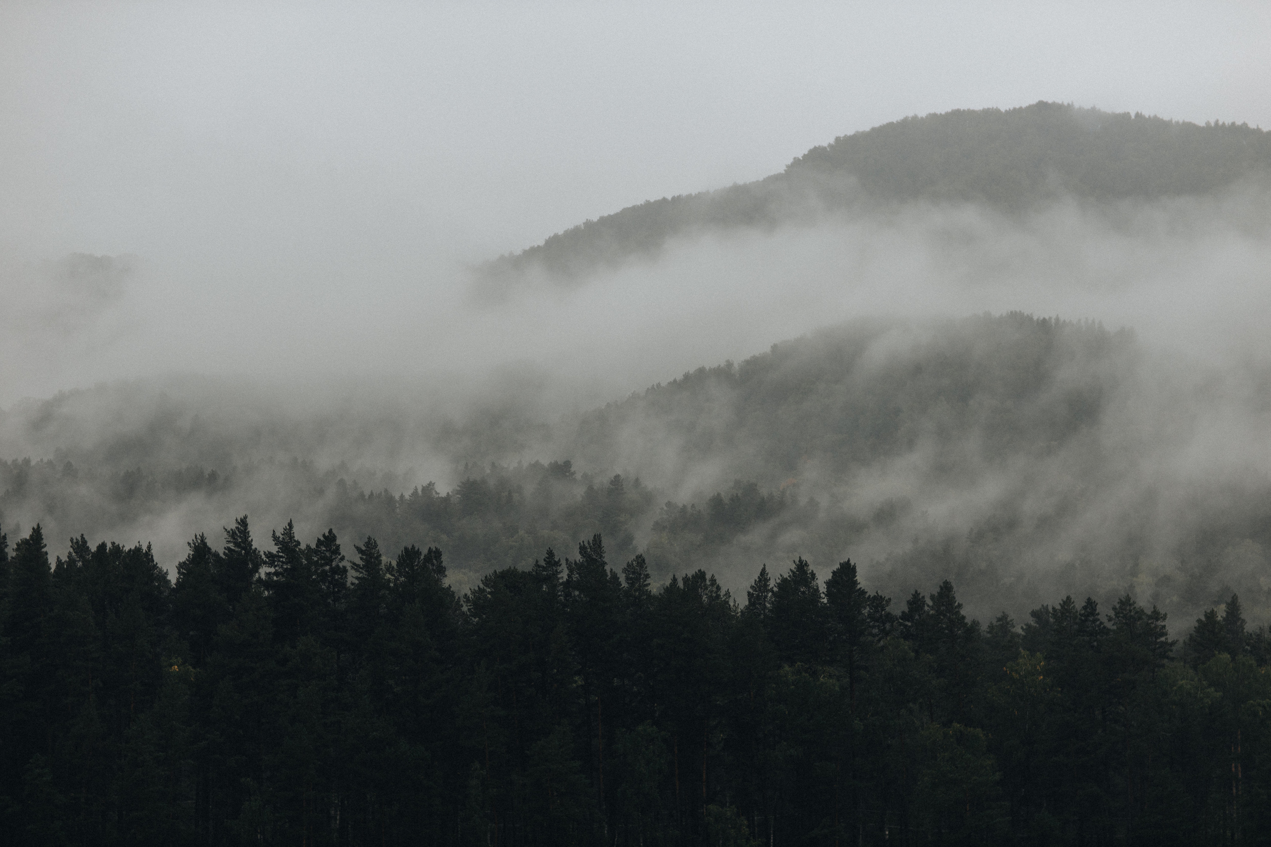 Portland, Seattle, Bend & Oregon Coast Elopement Photography | Alex & Michael's Mountain Wedding by Georgy Shishkin. Capturing Love in the Heart of the Pacific Northwes