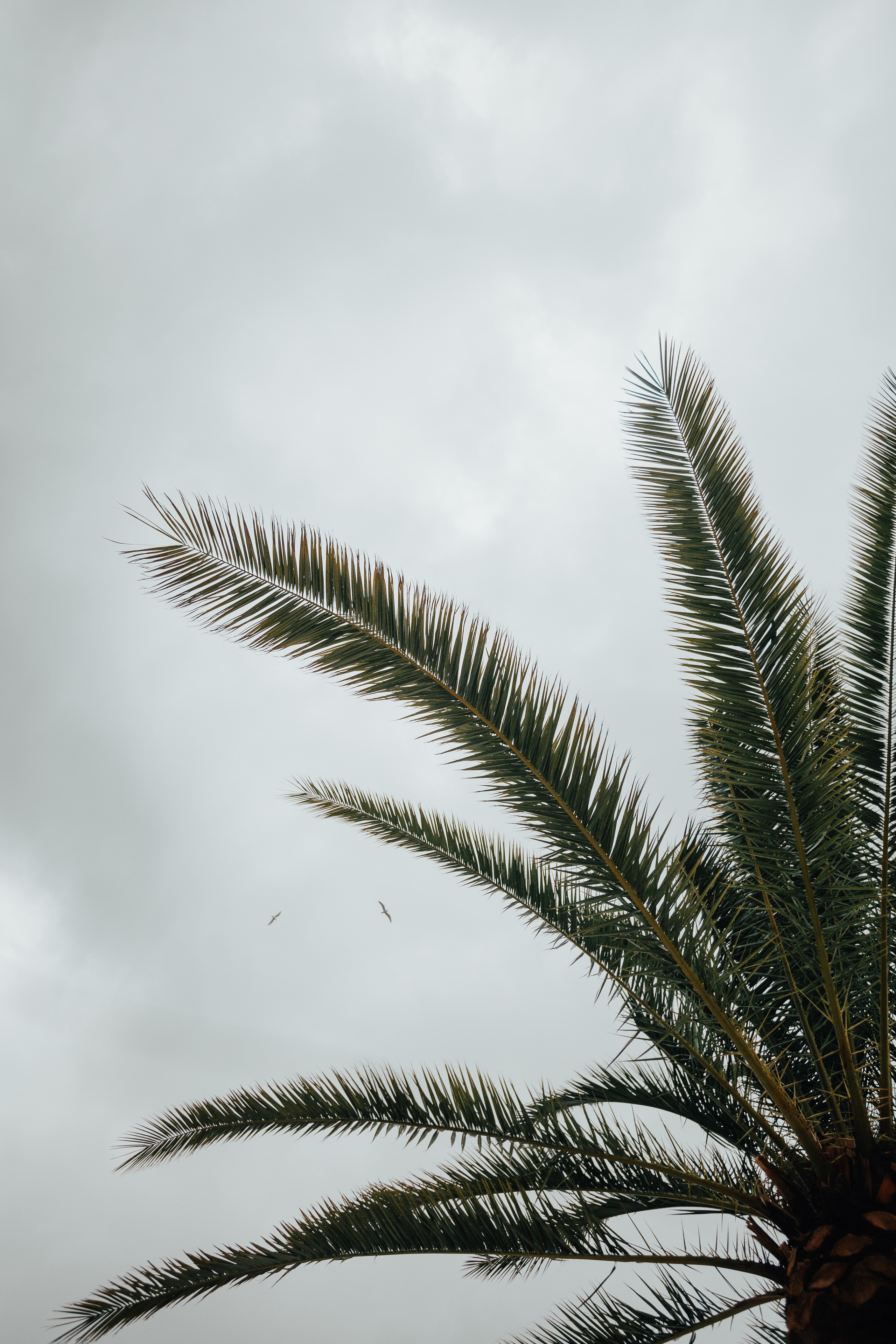 Portland, Seattle, Bend & Oregon Coast Elopement Photography | Elopements by Georgy Shishkin. Capturing Love in the Heart of the Pacific Northwes