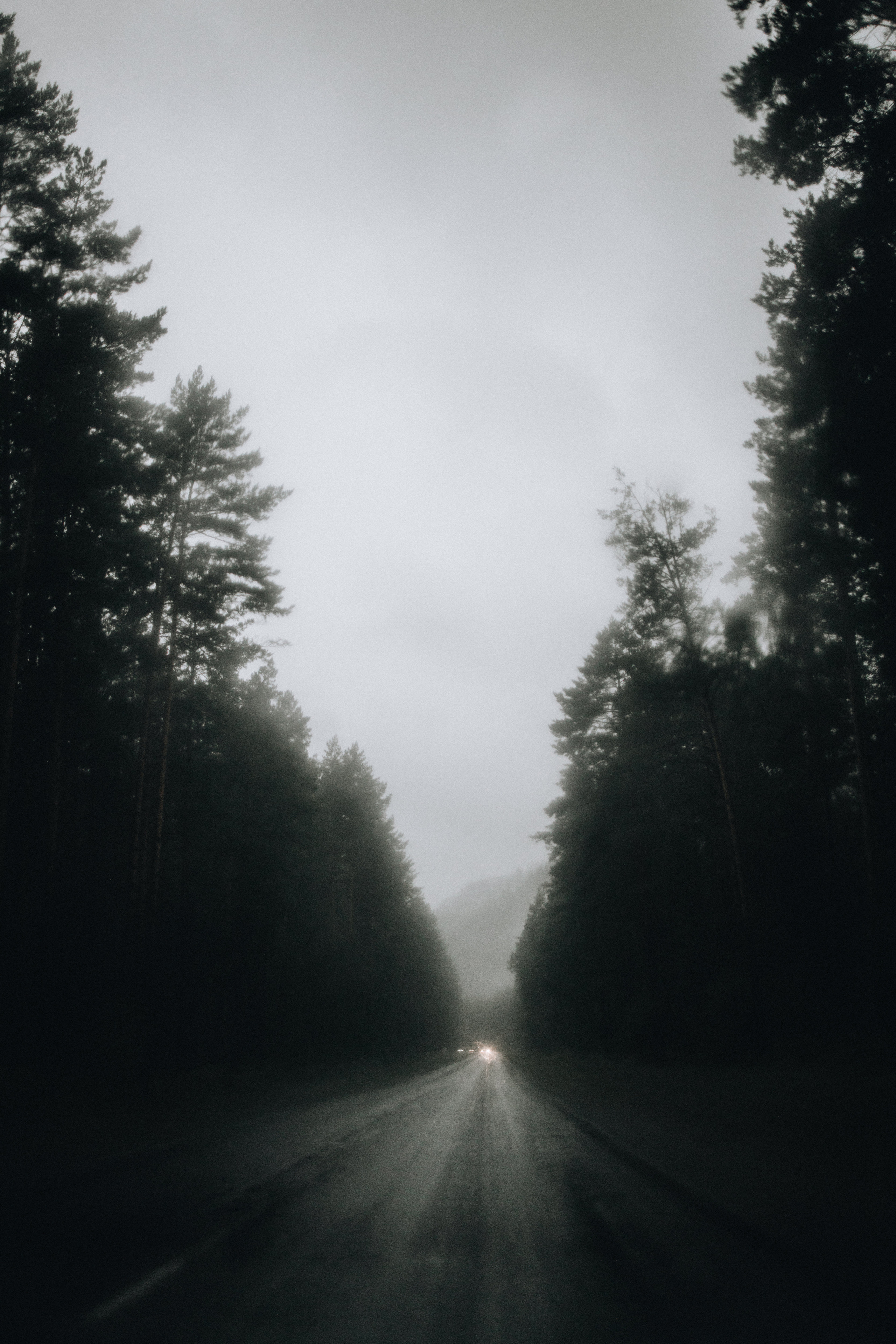 Portland, Seattle, Bend & Oregon Coast Elopement Photography | Alex & Michael's Mountain Wedding by Georgy Shishkin. Capturing Love in the Heart of the Pacific Northwes