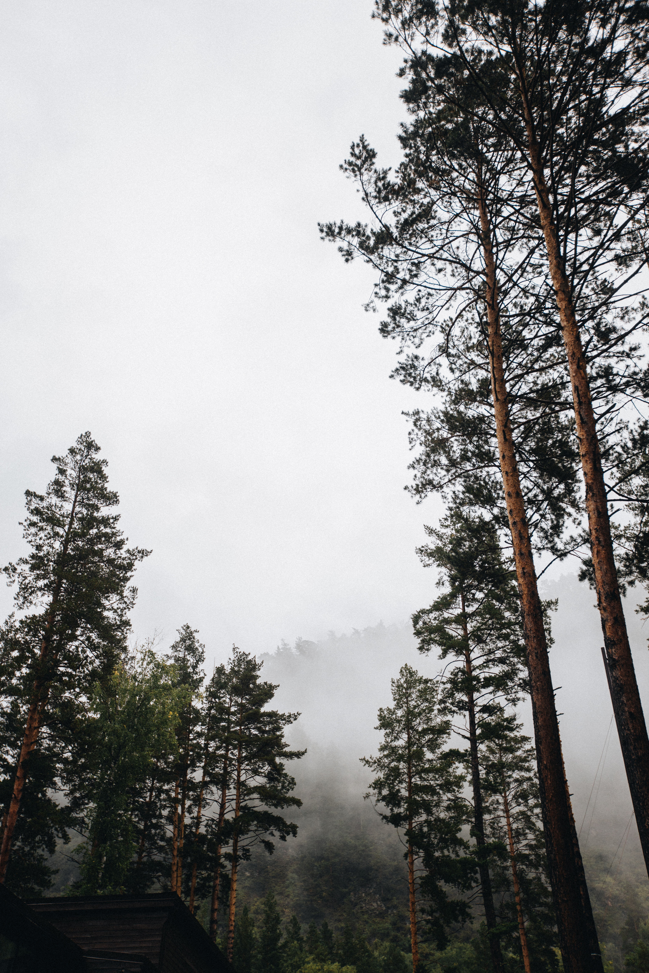Portland, Seattle, Bend & Oregon Coast Elopement Photography | Alex & Michael's Mountain Wedding by Georgy Shishkin. Capturing Love in the Heart of the Pacific Northwes