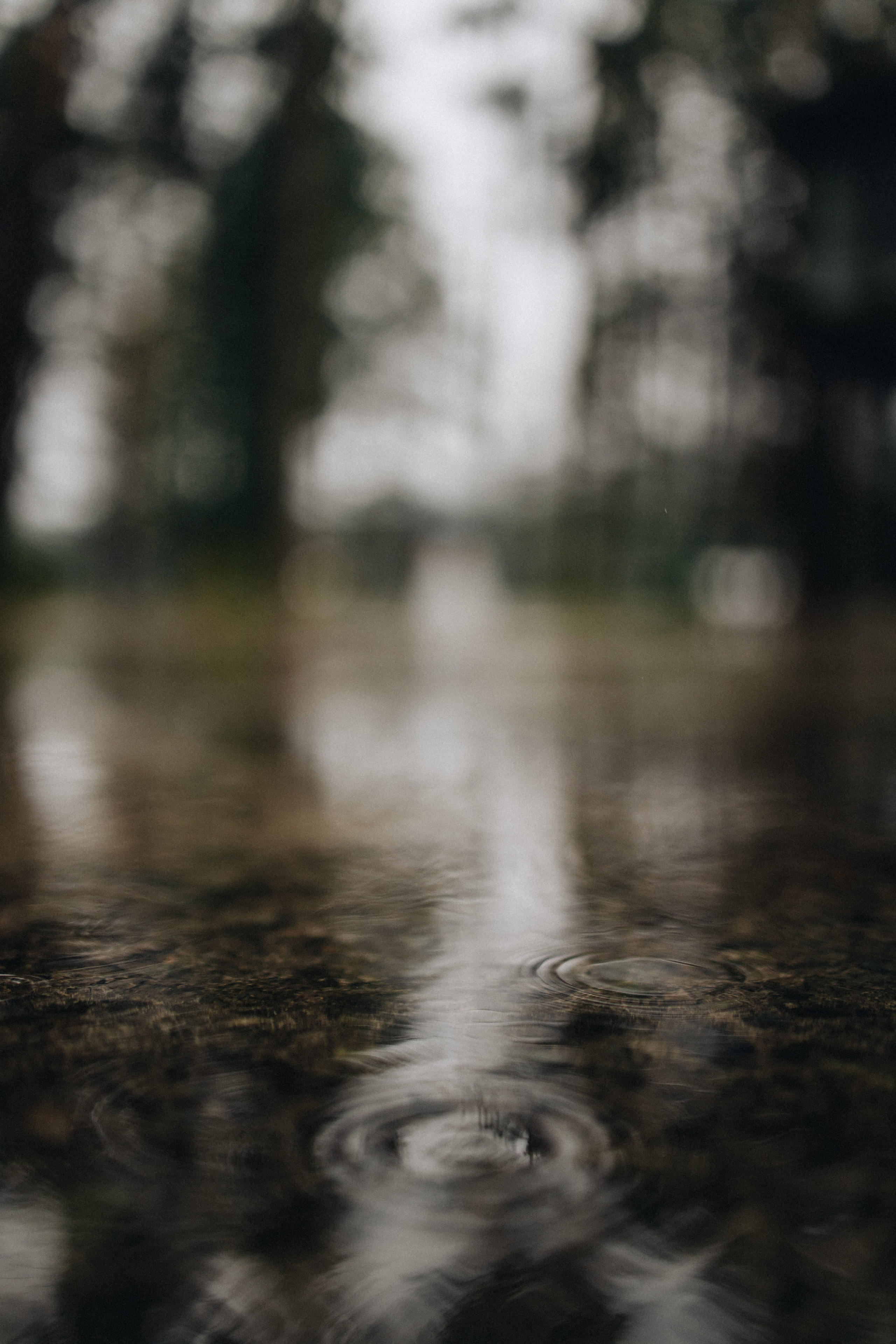 Portland, Seattle, Bend & Oregon Coast Elopement Photography | Alex & Michael's Mountain Wedding by Georgy Shishkin. Capturing Love in the Heart of the Pacific Northwes