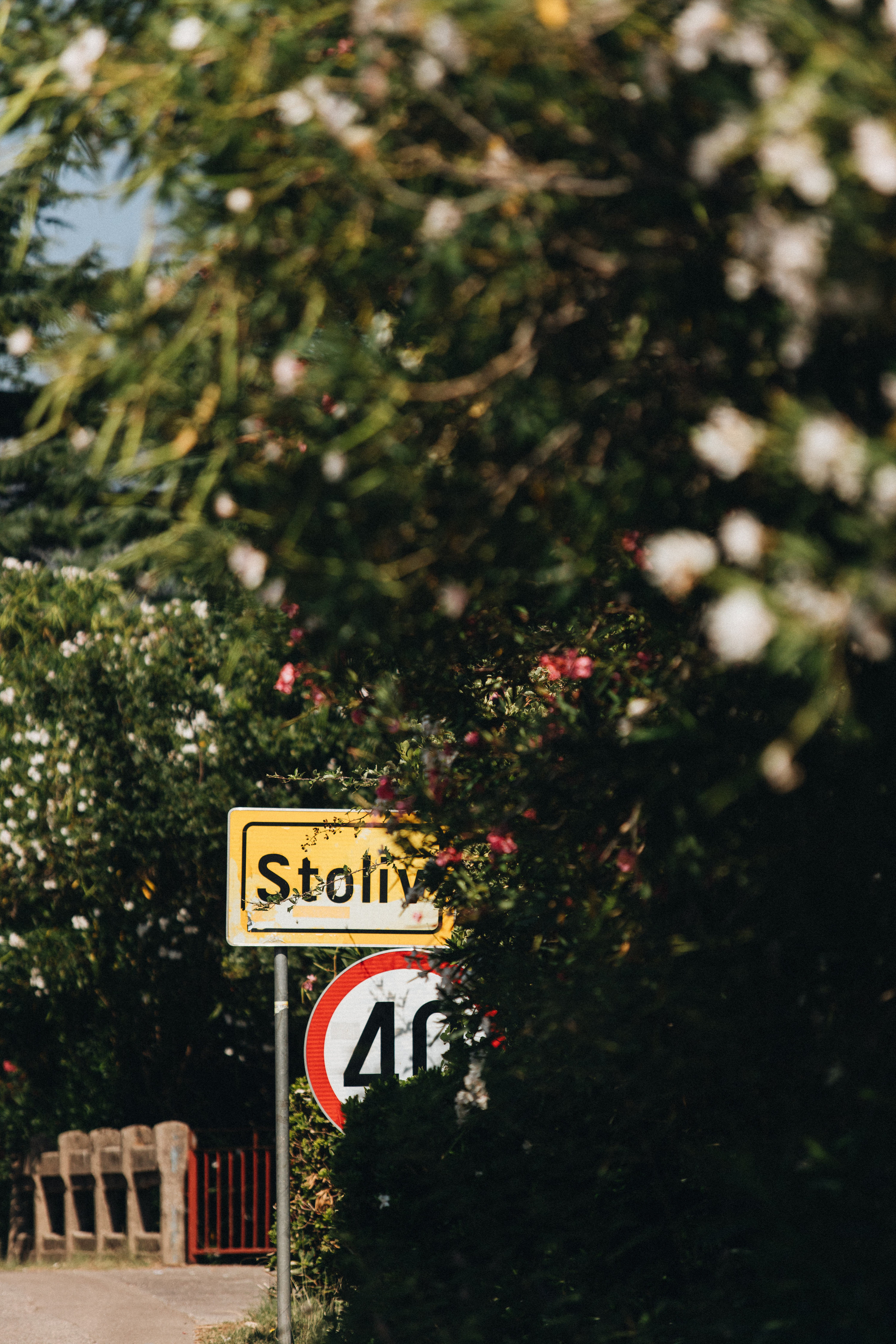 Portland, Seattle, Bend & Oregon Coast Wedding Photography | Destination Weddings in Montenegro by Georgy Shishkin. Capturing Love in the Heart of the Pacific Northwes