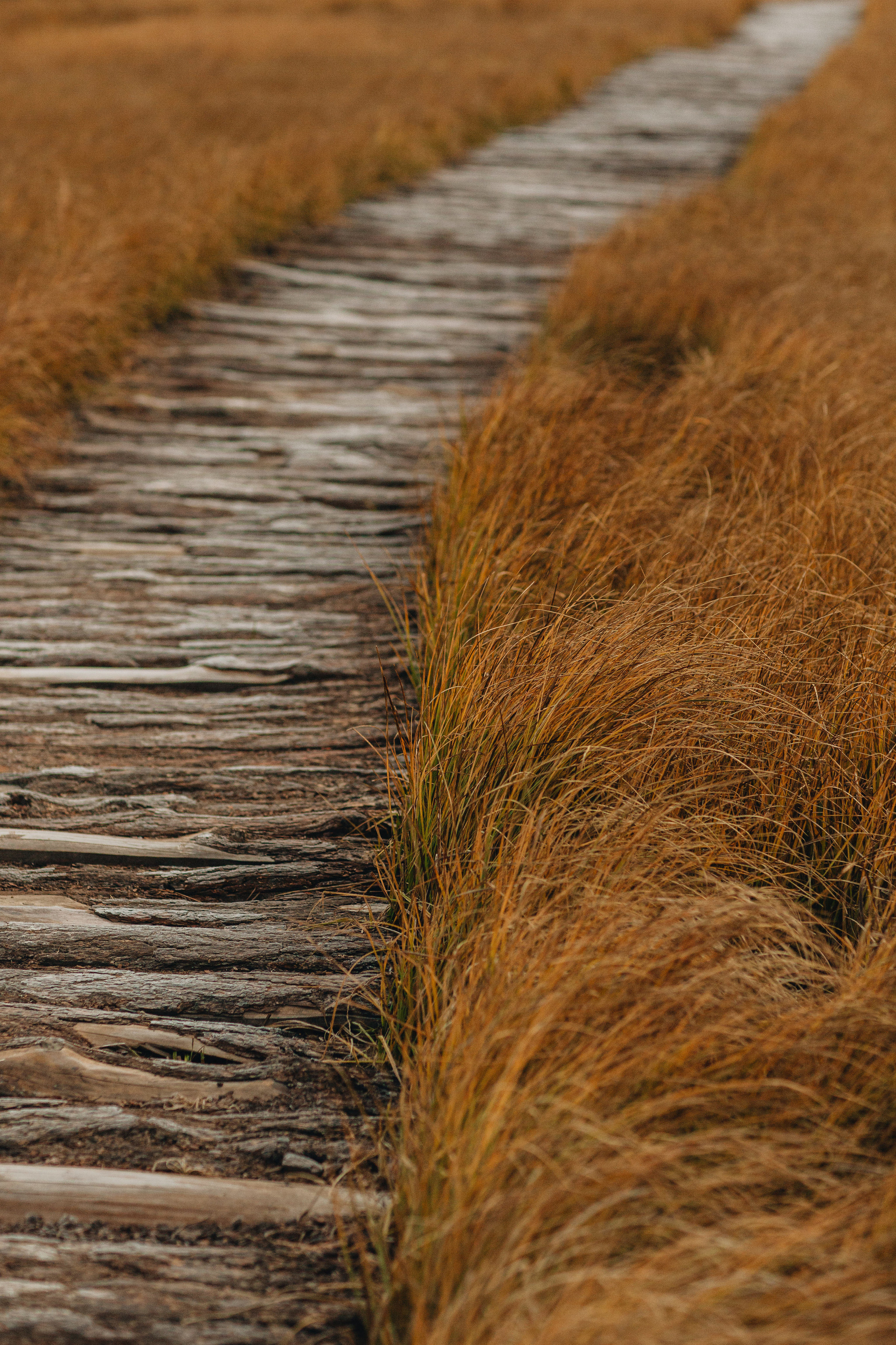 Portland, Seattle, Bend & Oregon Coast Elopement & Wedding Photography | J & J Mountain Adventure by Georgy Shishkin. Capturing Love in the Heart of the Pacific Northwes