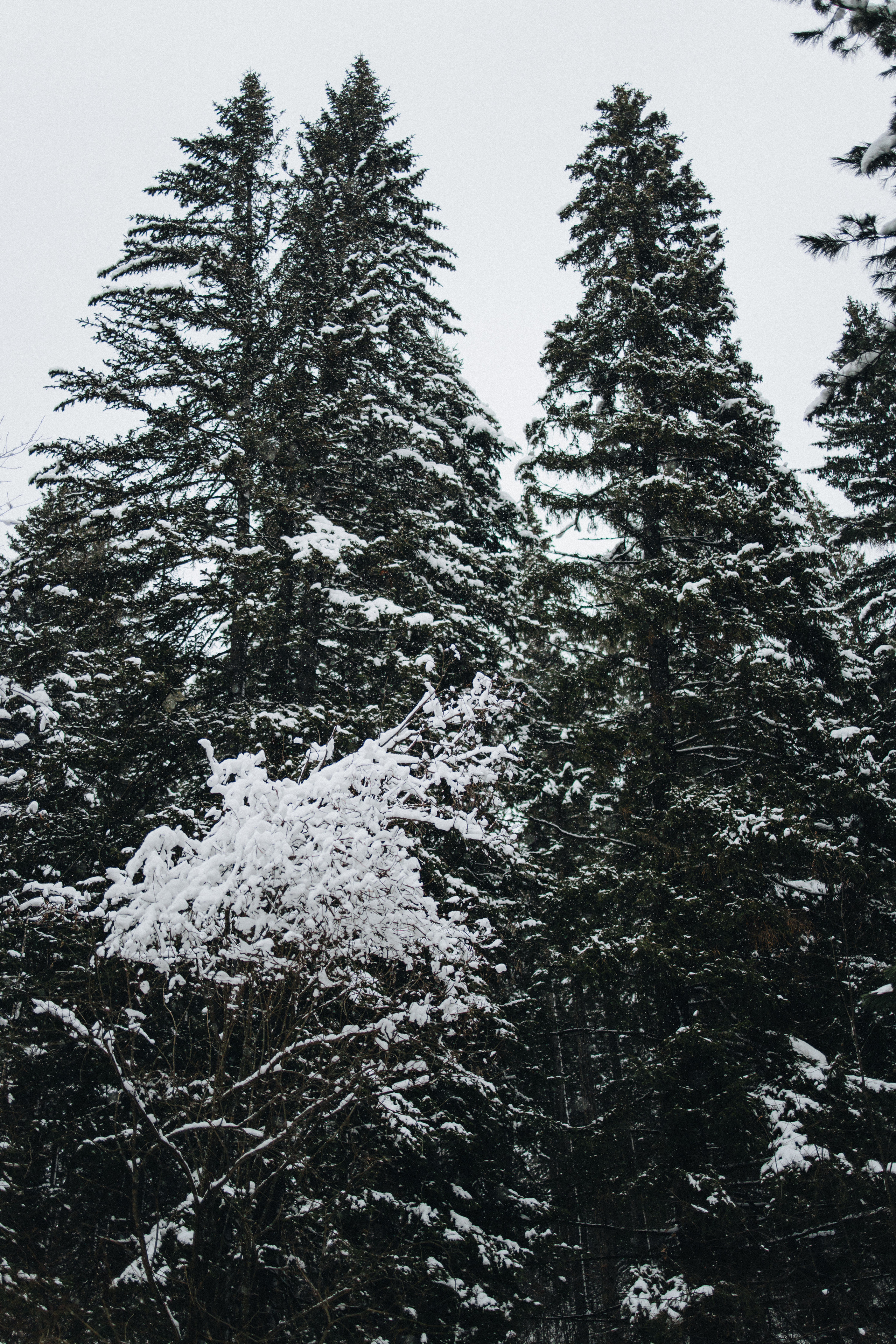 Capture the Warmth of Winter with Family Photography in Portland, Seattle, Bend & Oregon Coast | Georgy Shishkin. Capturing Love in the Heart of the Pacific Northwes