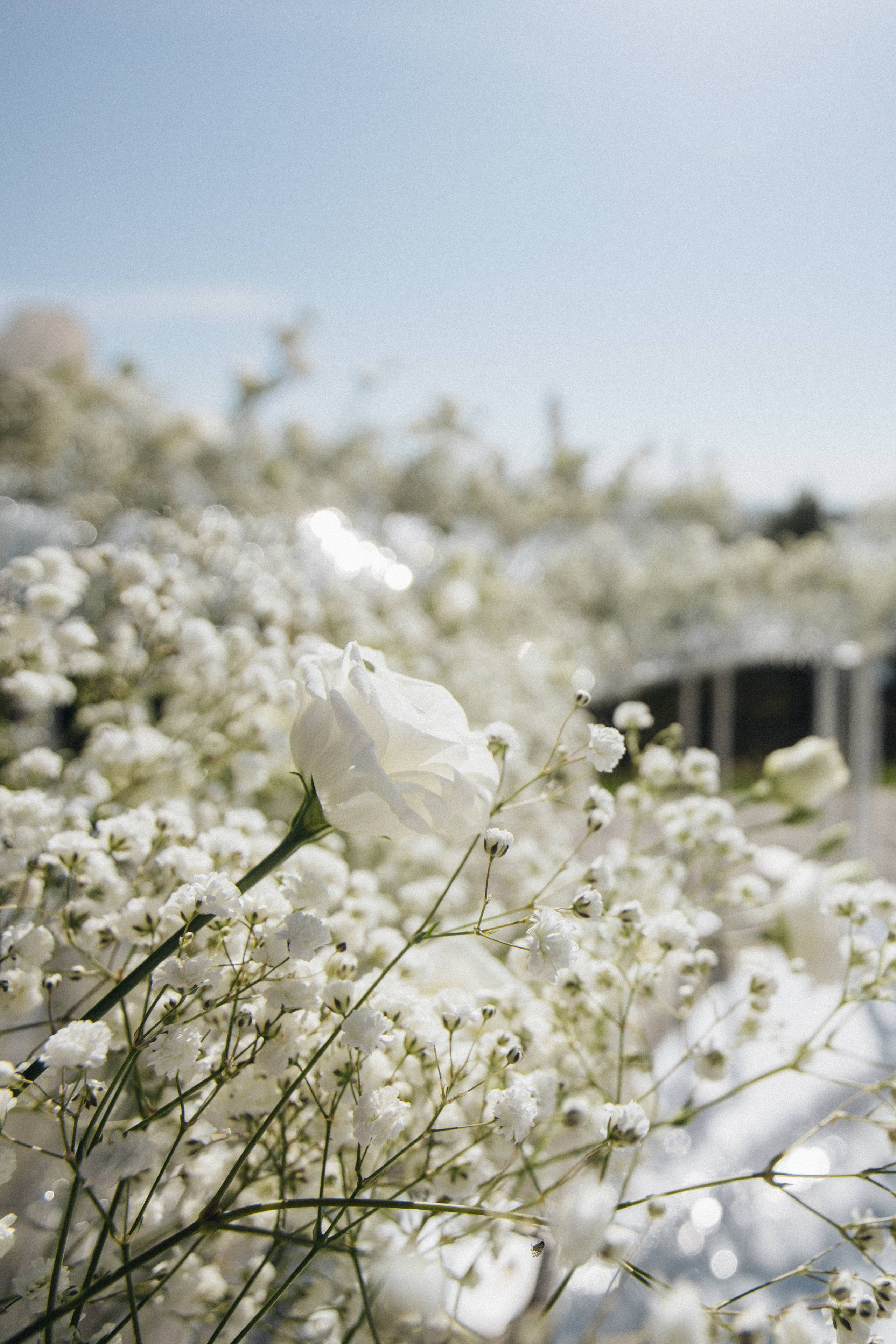 Bakker Wedding Photography in Portland, Seattle, Bend & Oregon Coast | Classic Black & White Wedding by Georgy Shishkin. Capturing Love in the Heart of the Pacific Northwes