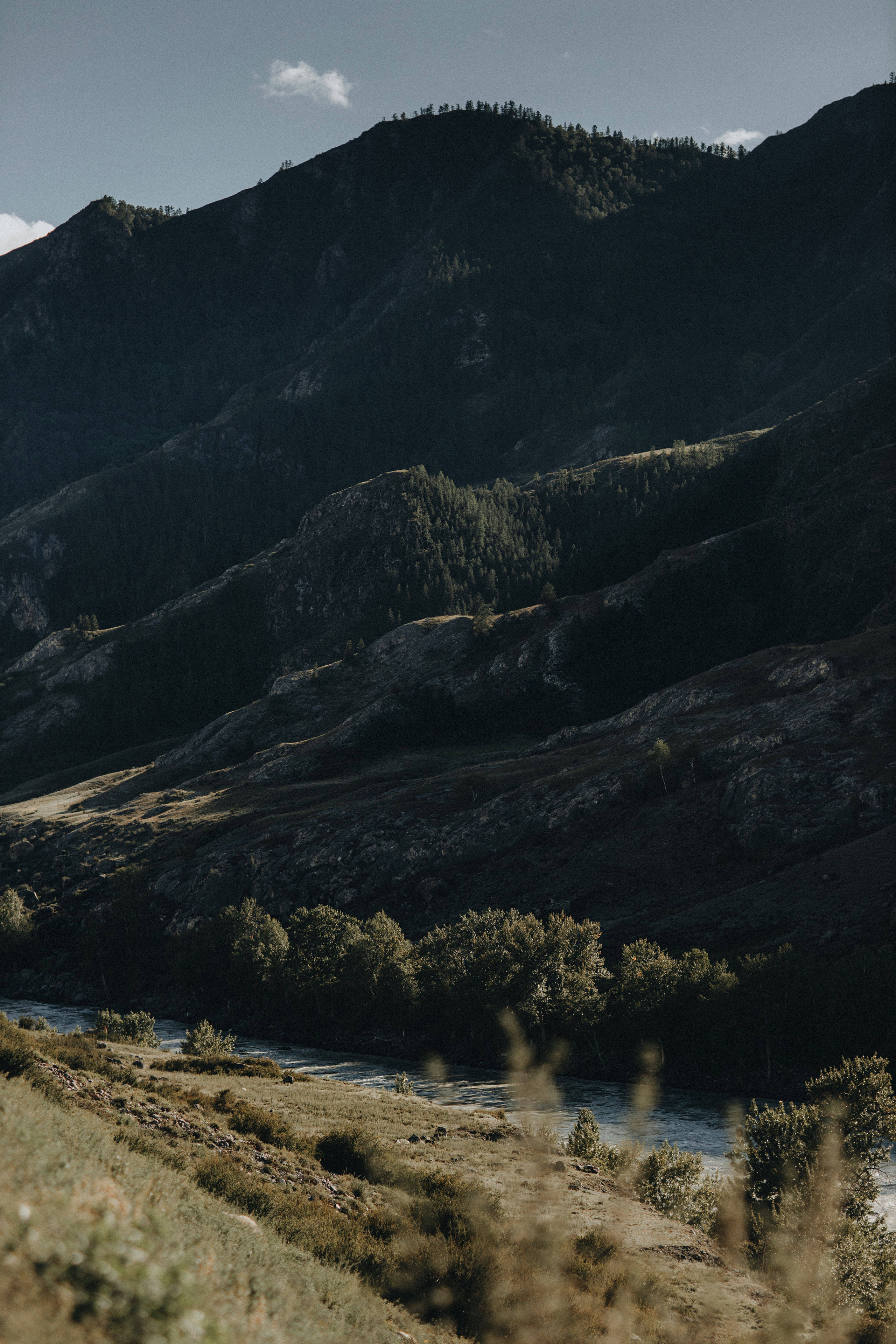 Portland, Seattle, Bend & Oregon Coast Elopement Photography | Alex & Michael's Mountain Wedding by Georgy Shishkin. Capturing Love in the Heart of the Pacific Northwes
