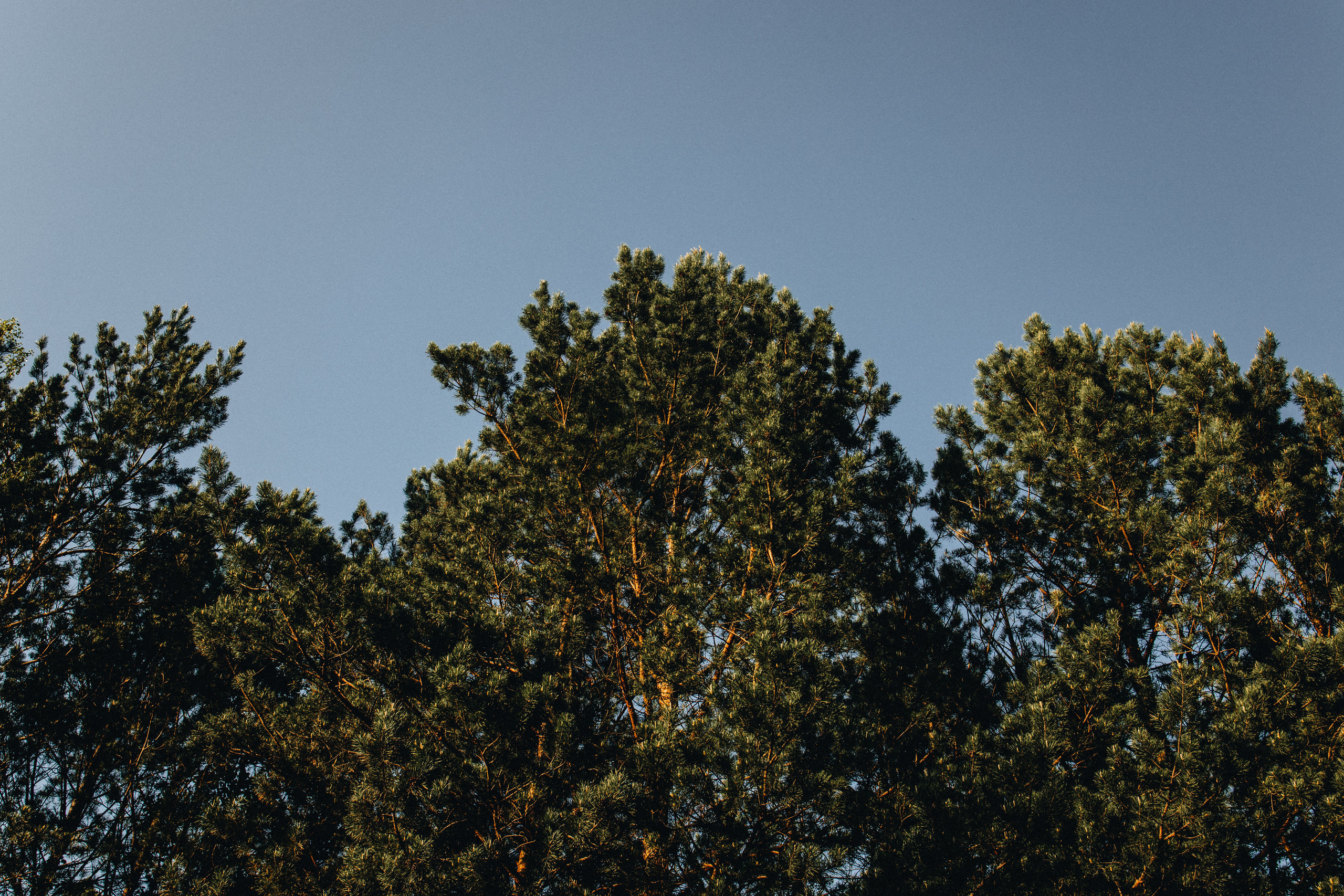 Portland, Seattle & Oregon Coast Elopement & Engagement Photography | Kate & Ilya's Love Story | Georgy Shishkin. Capturing Love in the Heart of the Pacific Northwes