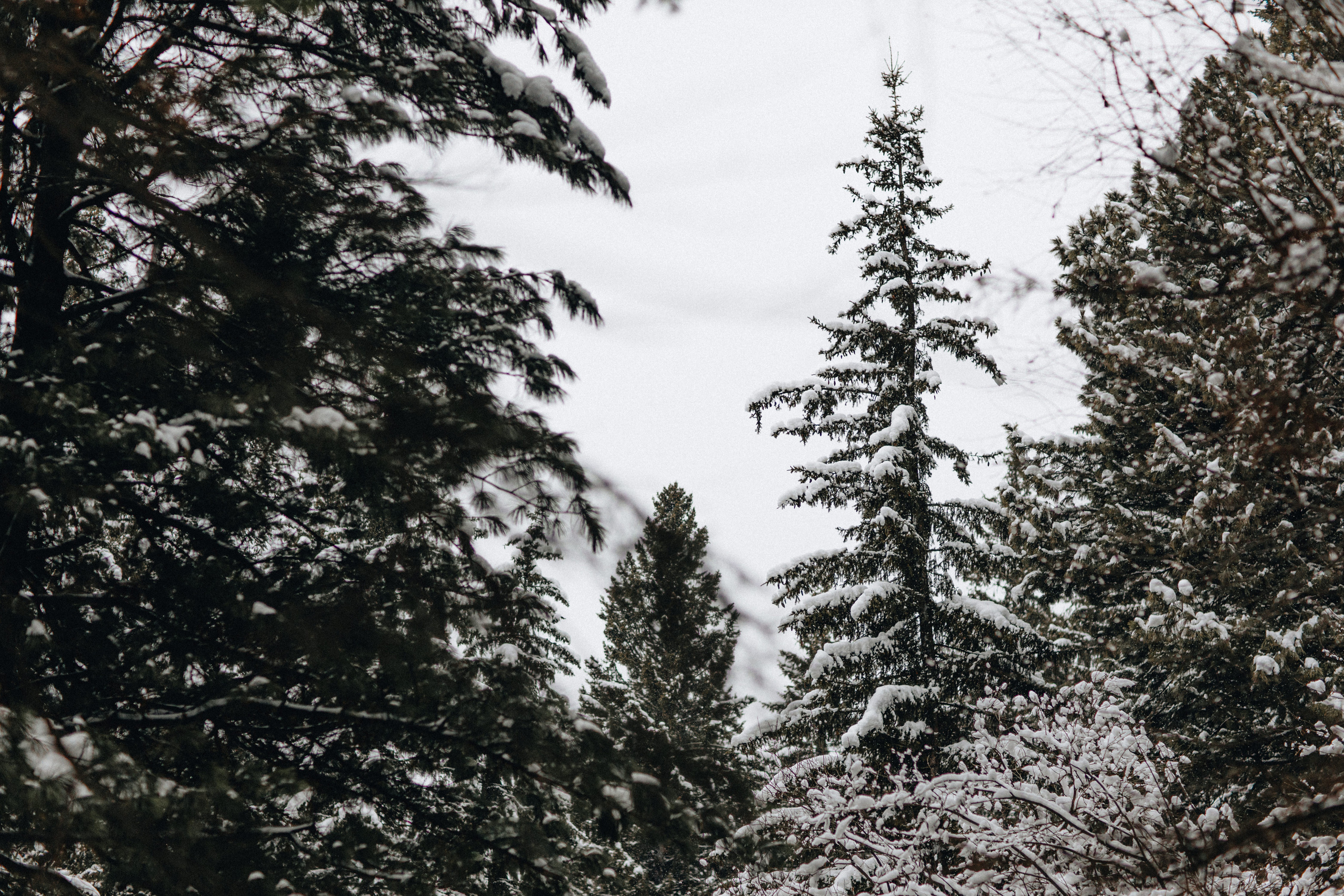 Capture the Warmth of Winter with Family Photography in Portland, Seattle, Bend & Oregon Coast | Georgy Shishkin. Capturing Love in the Heart of the Pacific Northwes