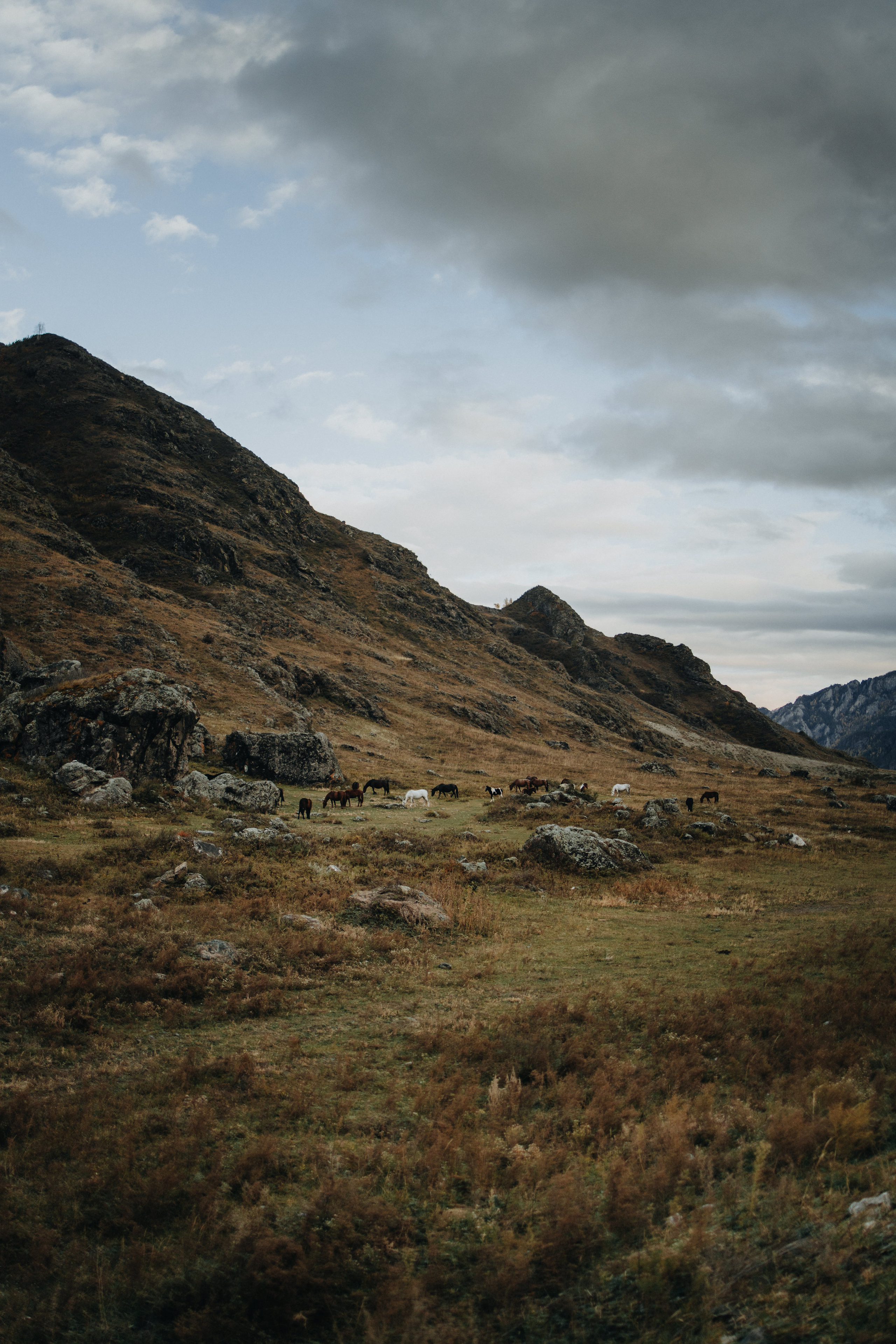Anastasia & Konstantin’s Mountain Elopement Photography | Georgy Shishkin in Portland, Seattle, Bend & Oregon Coast. Capturing Love in the Heart of the Pacific Northwes