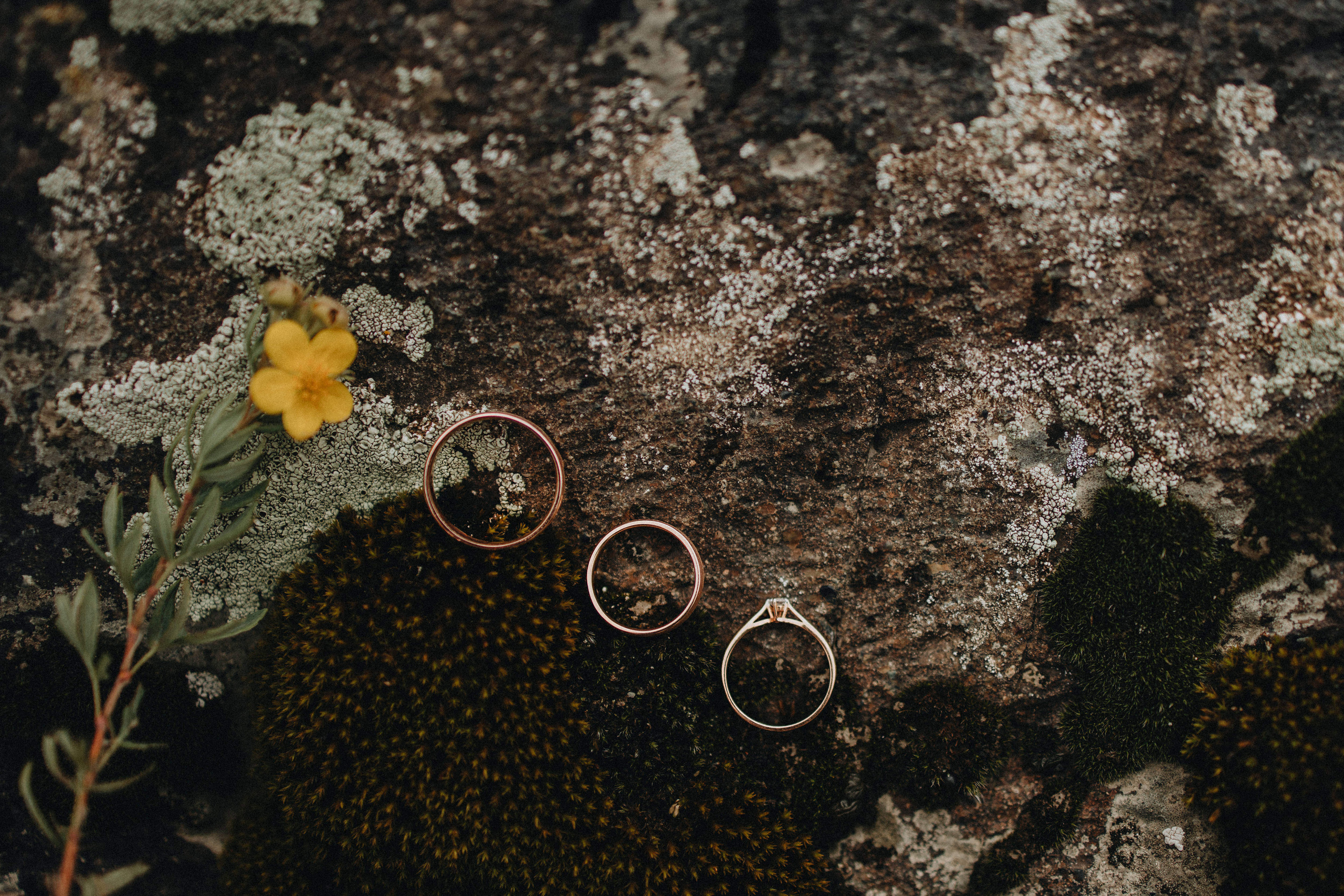 Portland, Seattle, Bend & Oregon Coast Elopement Photography | Alex & Michael's Mountain Wedding by Georgy Shishkin. Capturing Love in the Heart of the Pacific Northwes