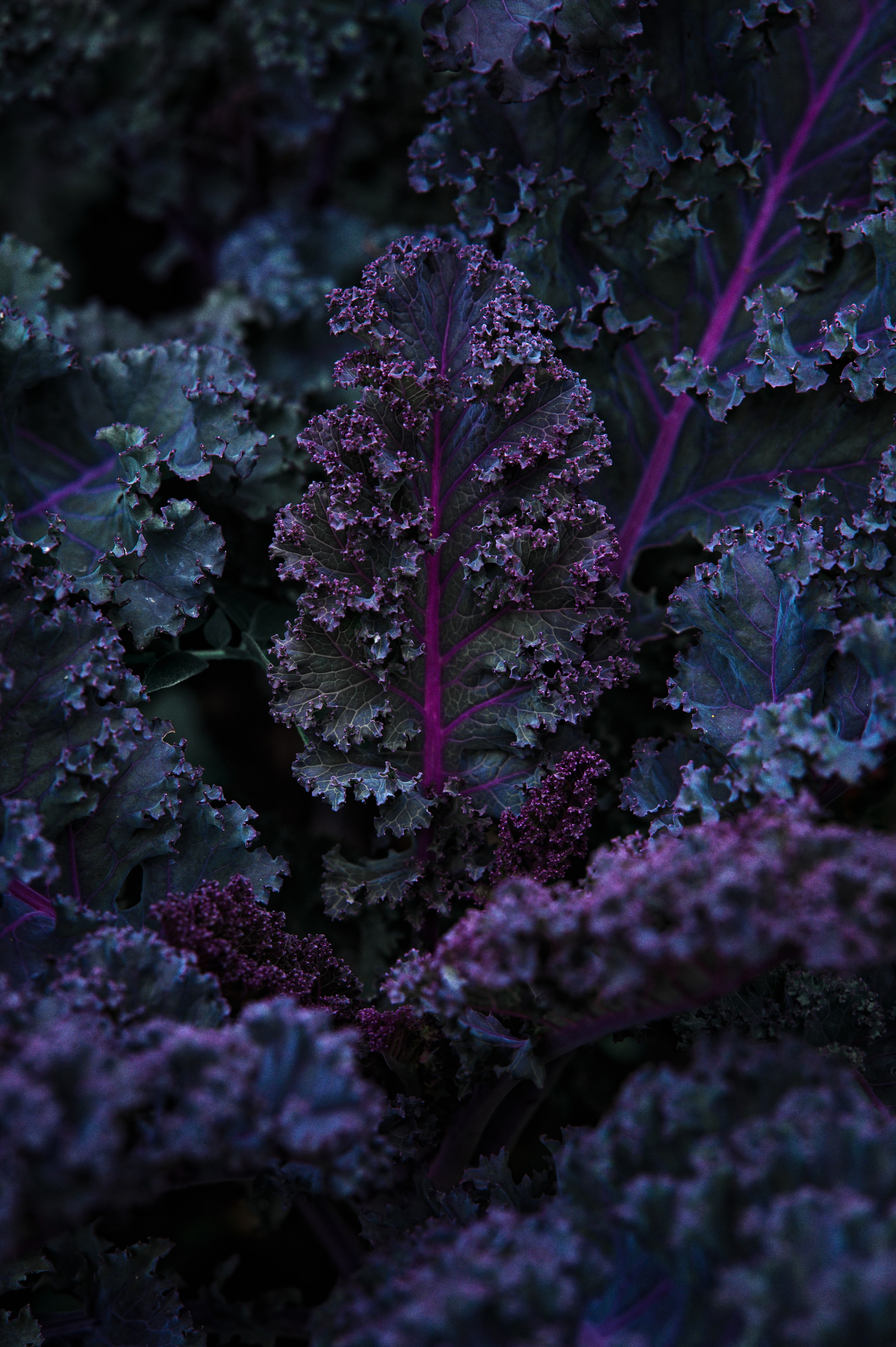 Artjom Kutuzov Photography