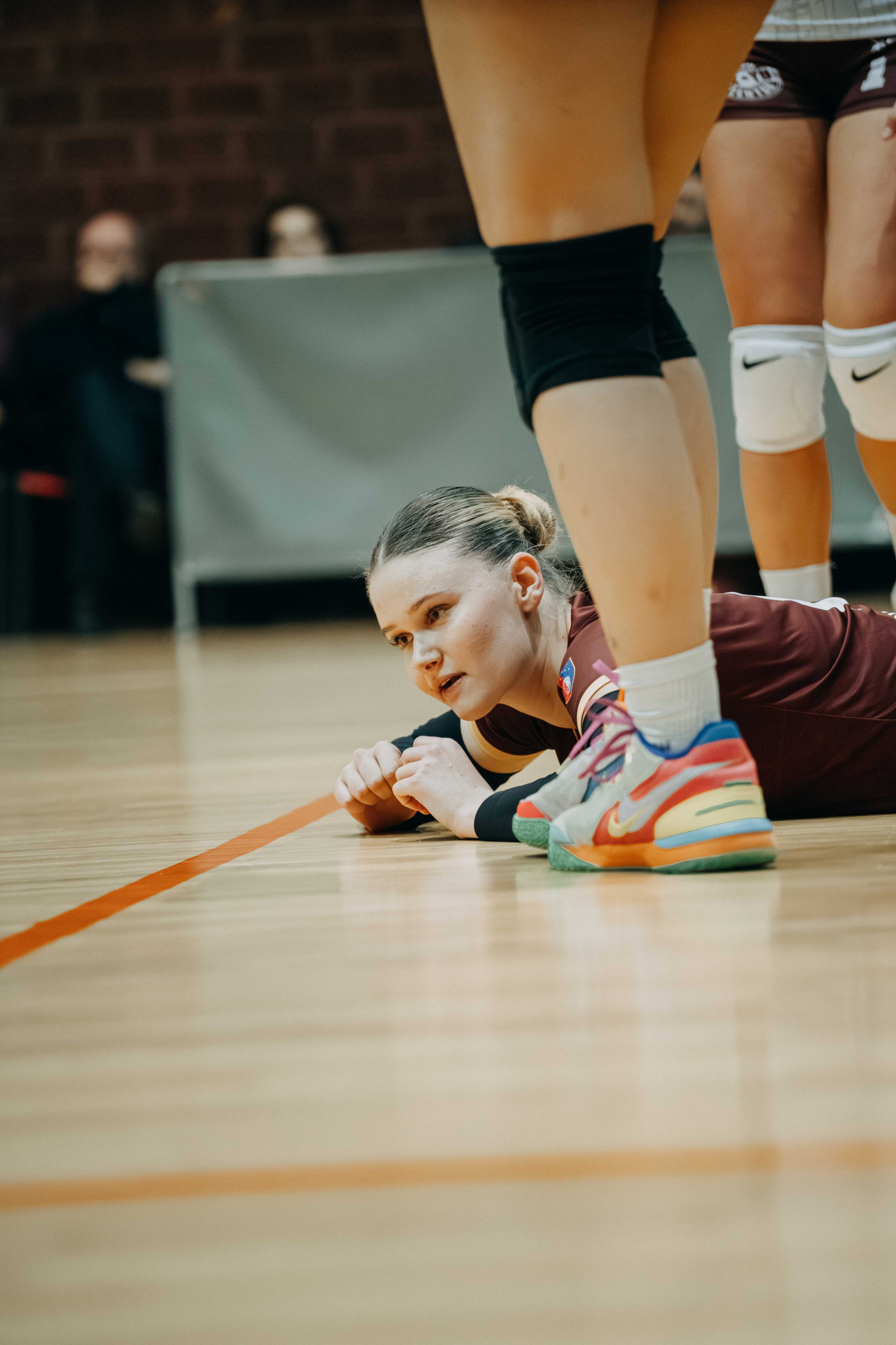 ŽOK Bosna — 2025/2026