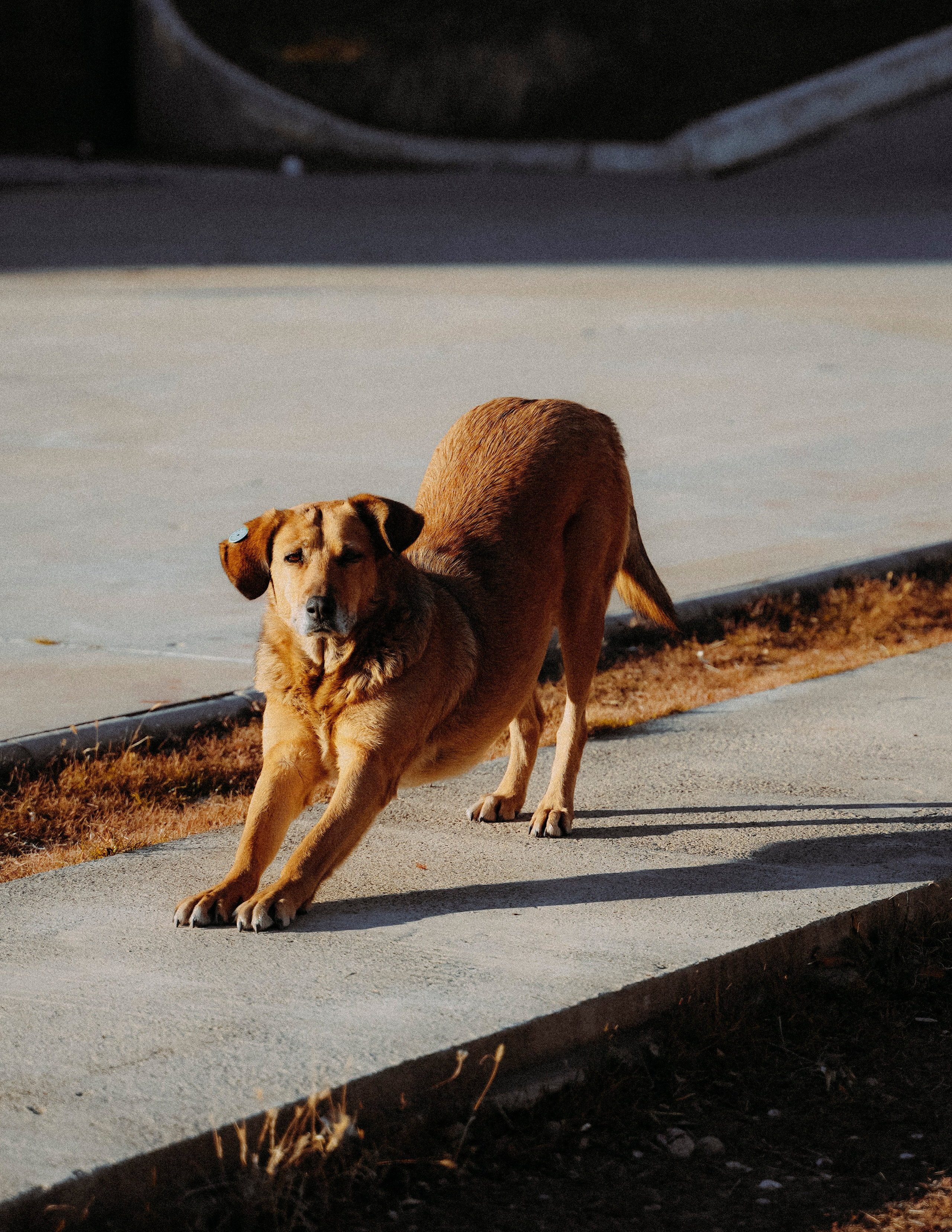 ТБИЛИСИ 2023-2024. Стрит-фотография, полная абсурда, идиотизма и красоты