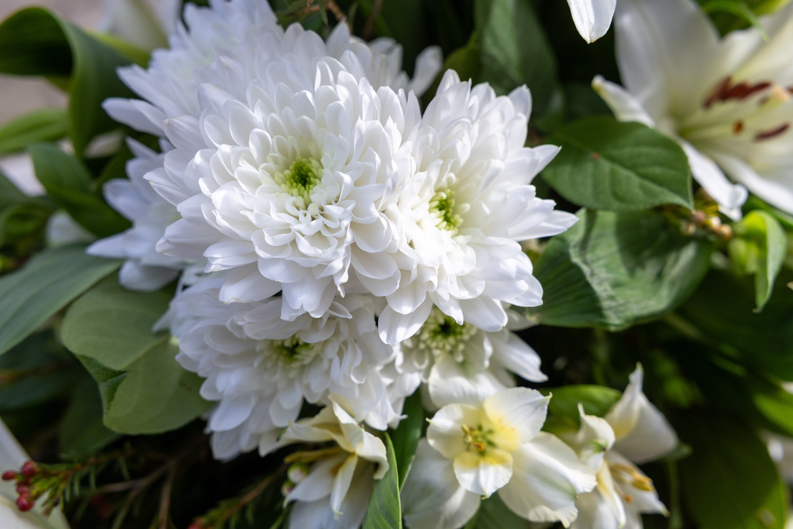 Smuk båredekoration opbygget i oasis med højde og længde på blomsterstilkene. En klassisk udført båredekoration i sæsonens lyse blomster. En elegant og smuk sidste hilsen. 