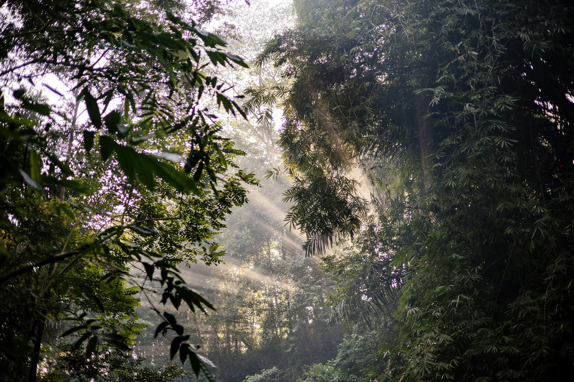 Waterfall wedding. Get.it.feel — Aesthetic Photography and Videography
