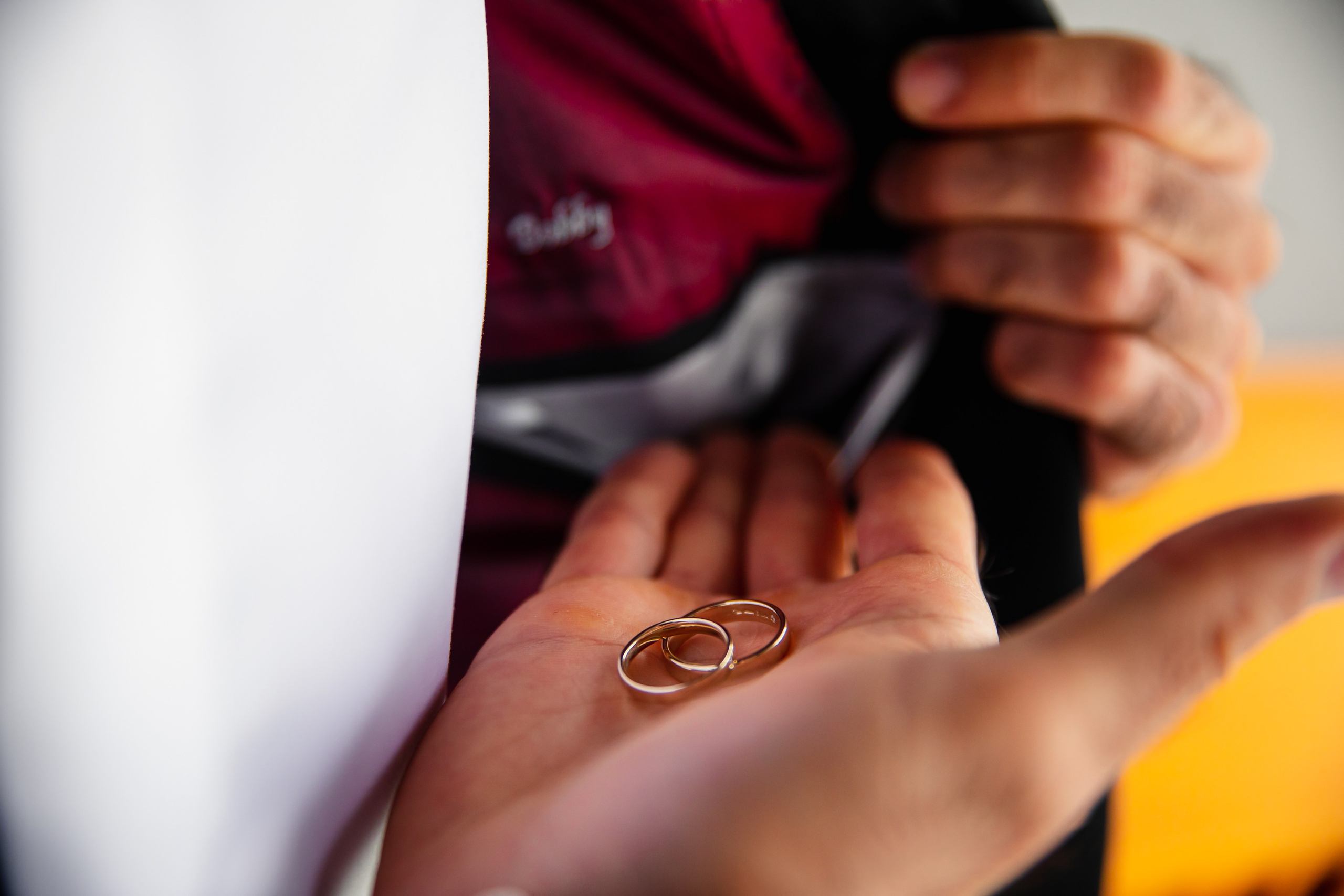 Nunta/Wedding. FreitagPROFOTO