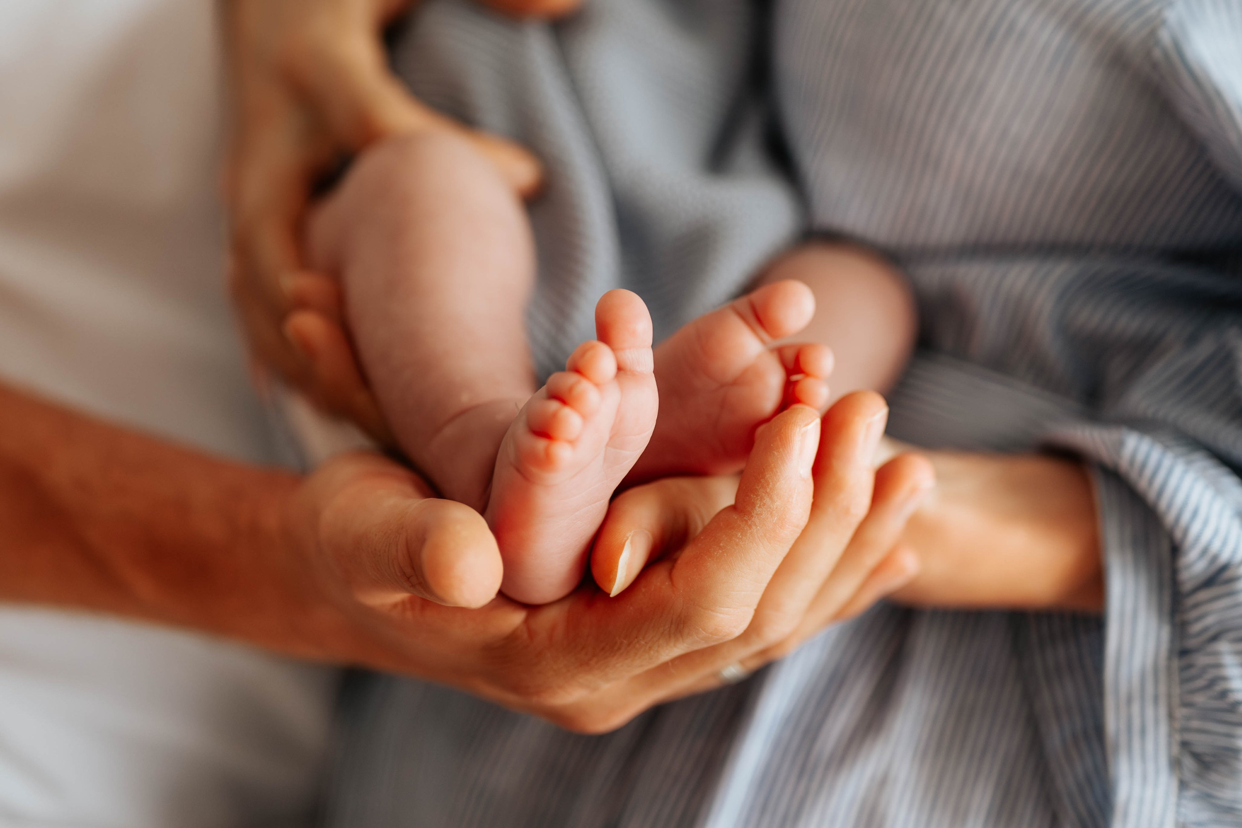 Sanja, Dušan, Teodor i Viktor - porodično fotografisanje. Dečiji i porodični fotograf