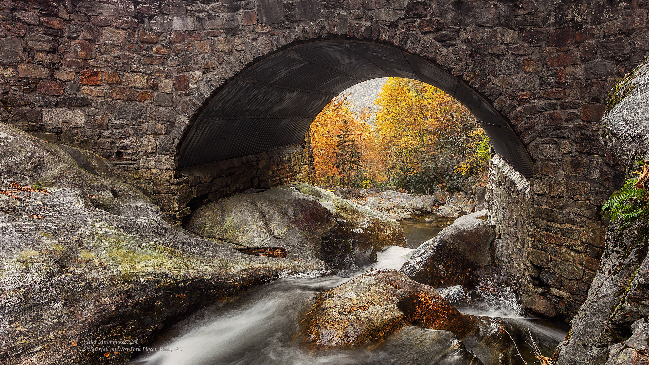 Great Smoky Mountains. Pet, Senior, Landscape, portrait studio, photographer in Miami and Sou