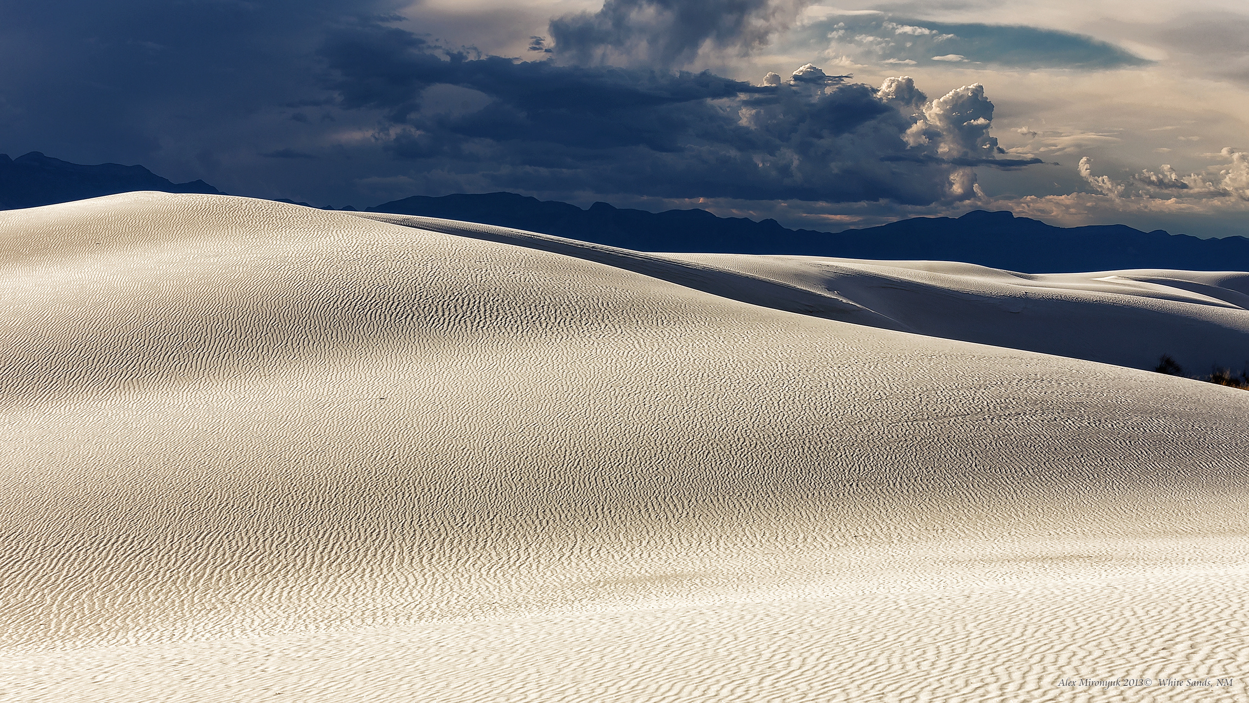 New Mexico Deserts. Pet, Senior, Landscape, portrait studio, photographer in Miami and Sou