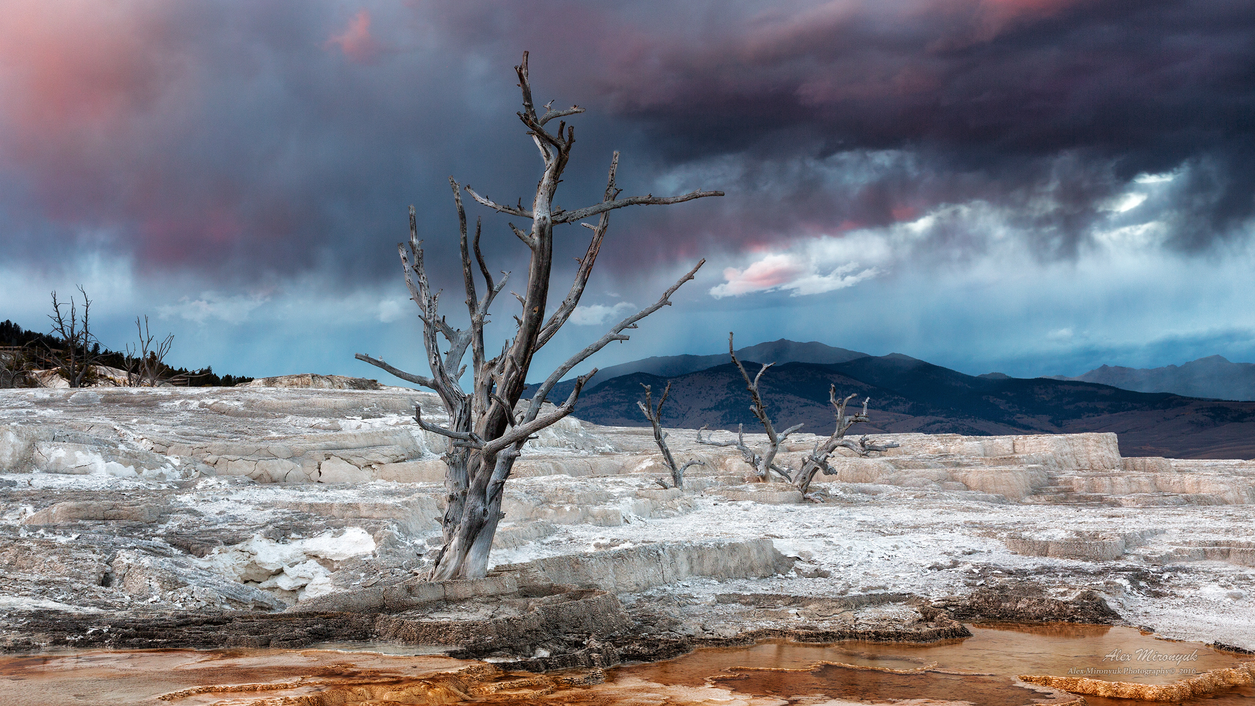 Yellowstone National Park. Alex Mironyuk Photography