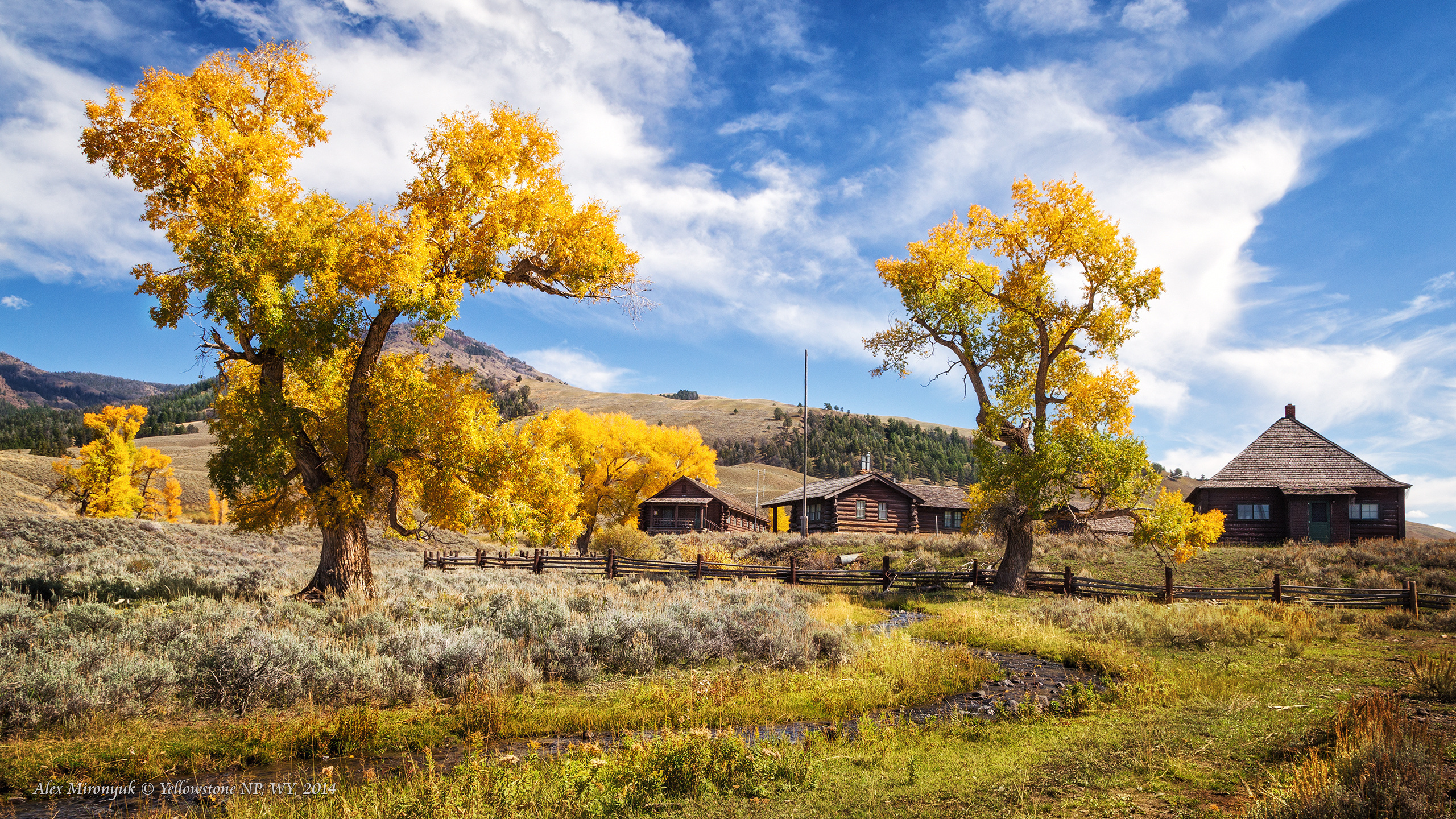 Yellowstone National Park. Alex Mironyuk Photography