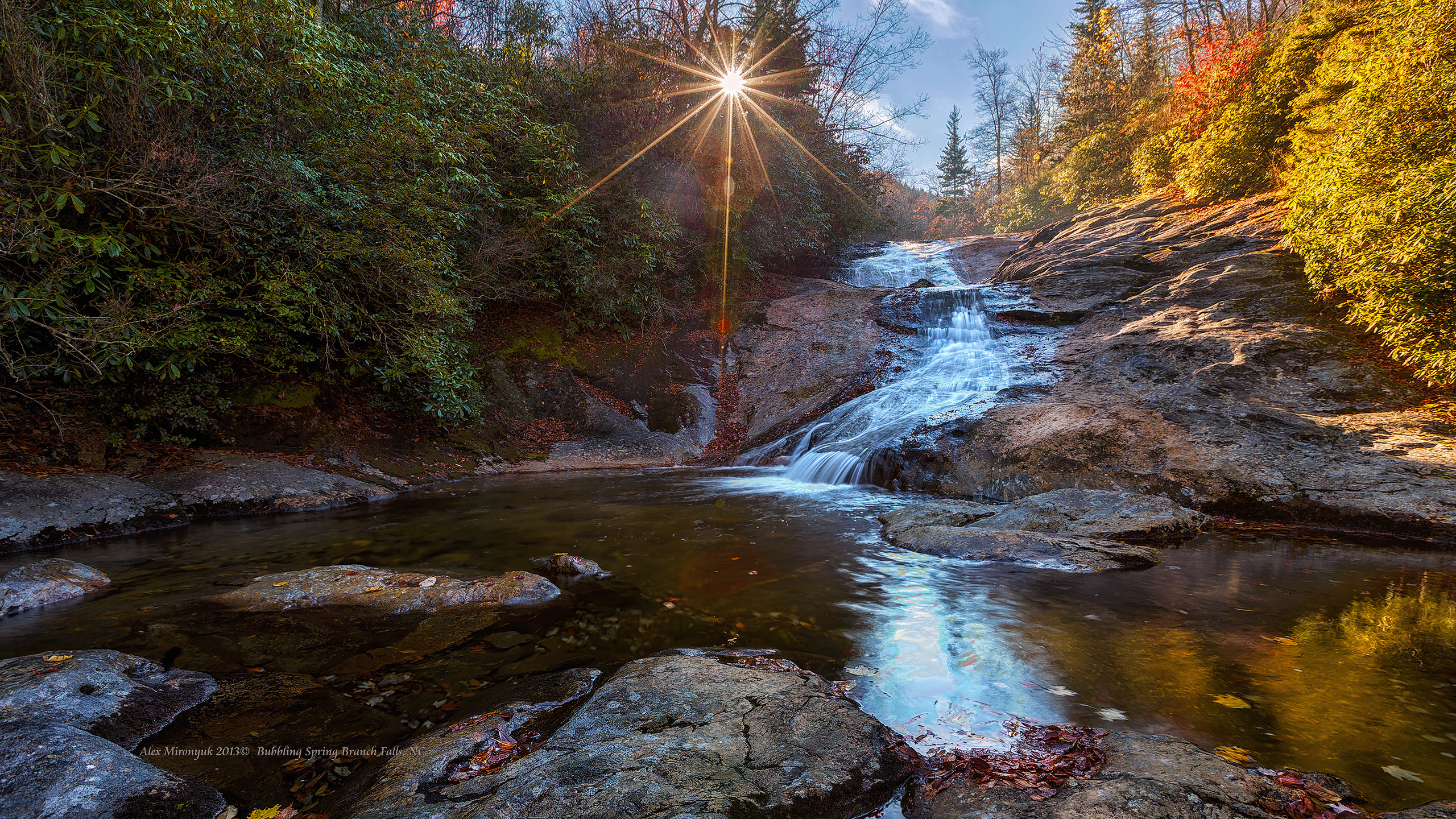 Great Smoky Mountains. Pet, Senior, Landscape, portrait studio, photographer in Miami and Sou