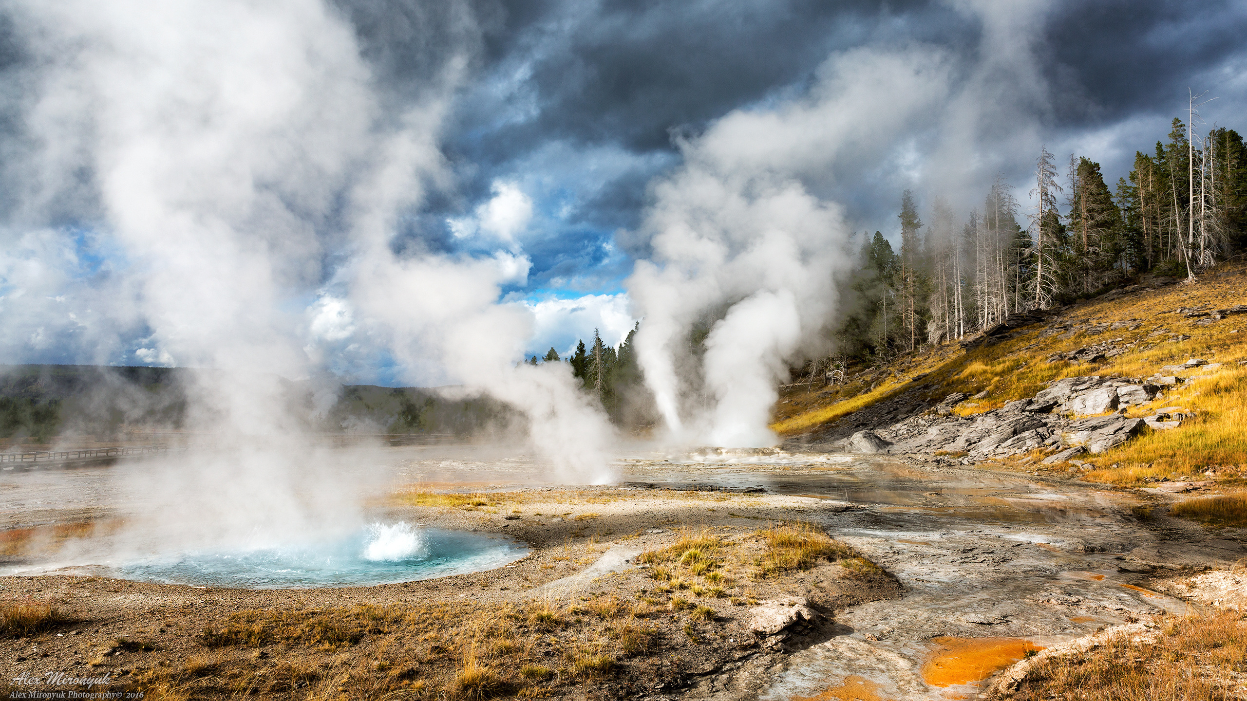 Yellowstone National Park. Alex Mironyuk Photography