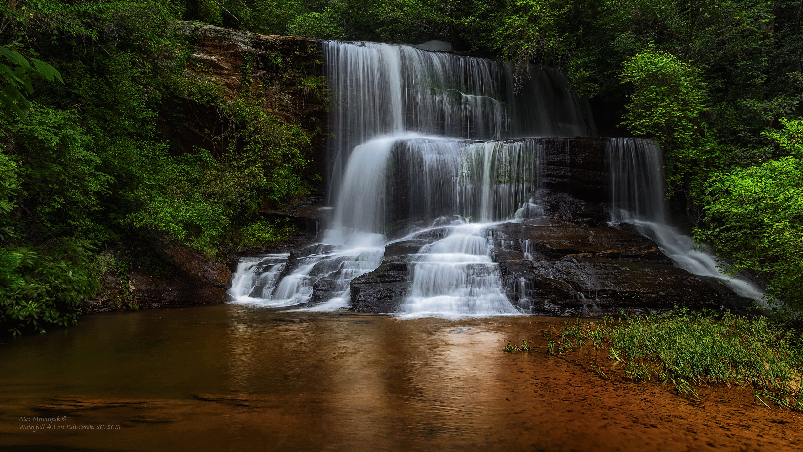 Great Smoky Mountains. Pet, Senior, Landscape, portrait studio, photographer in Miami and Sou