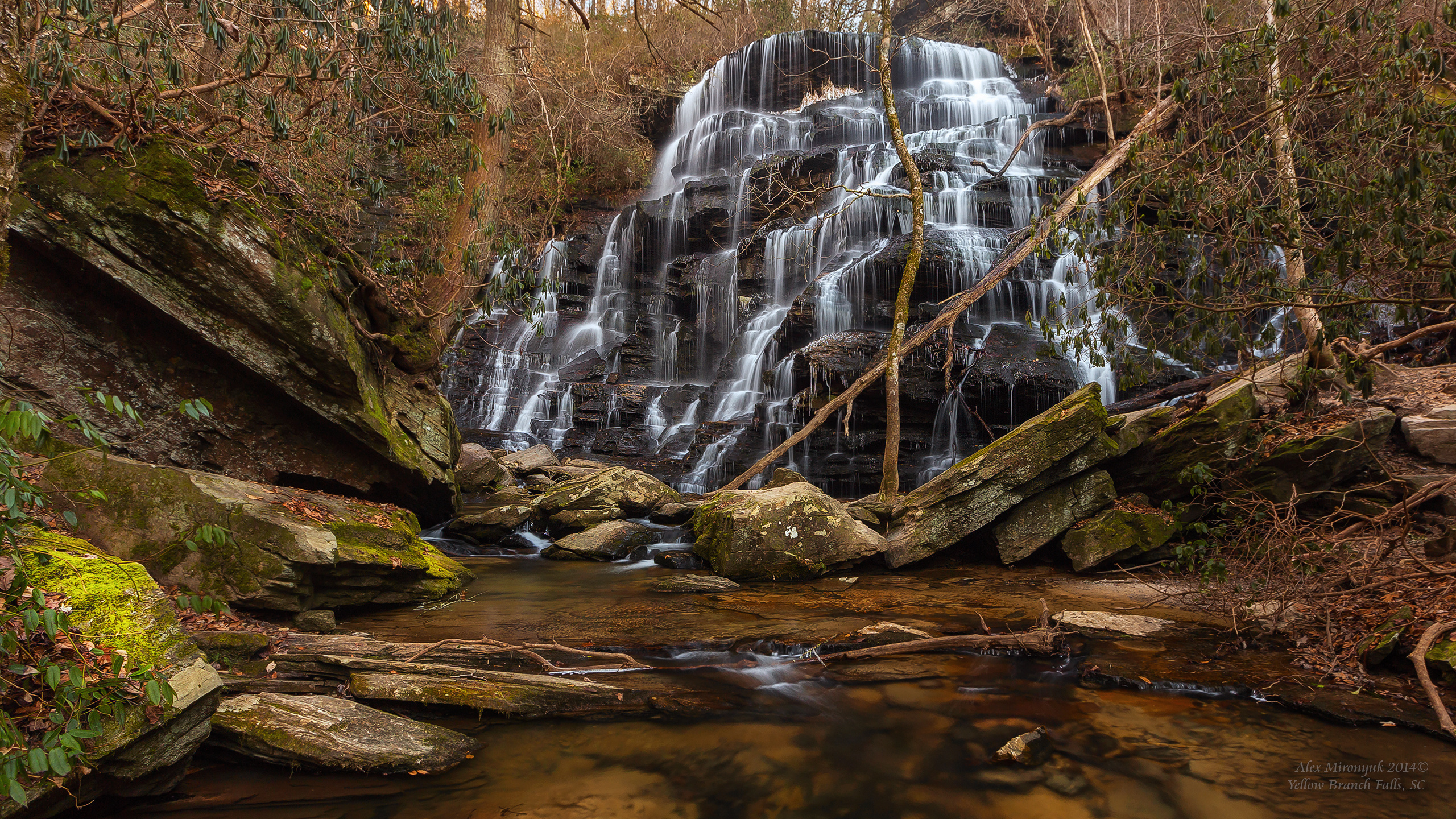 Great Smoky Mountains. Pet, Senior, Landscape, portrait studio, photographer in Miami and Sou