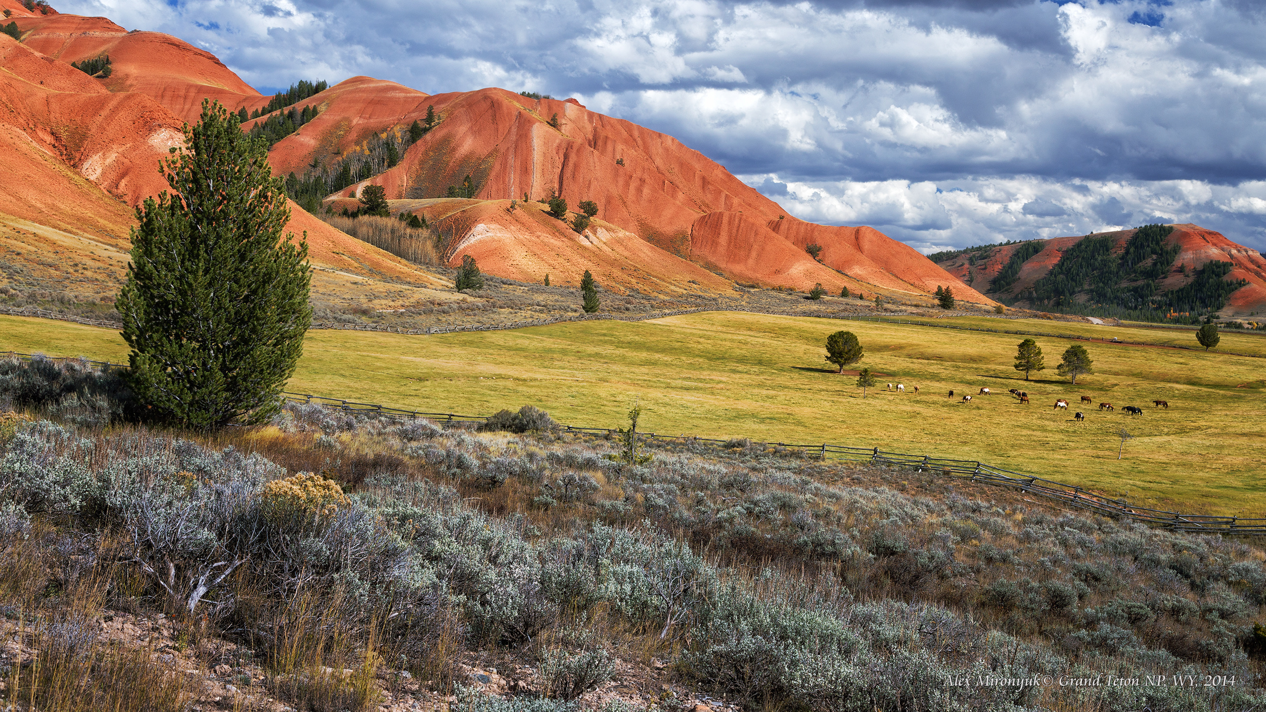 Grand Tetons National Park. Alex Mironyuk Photography