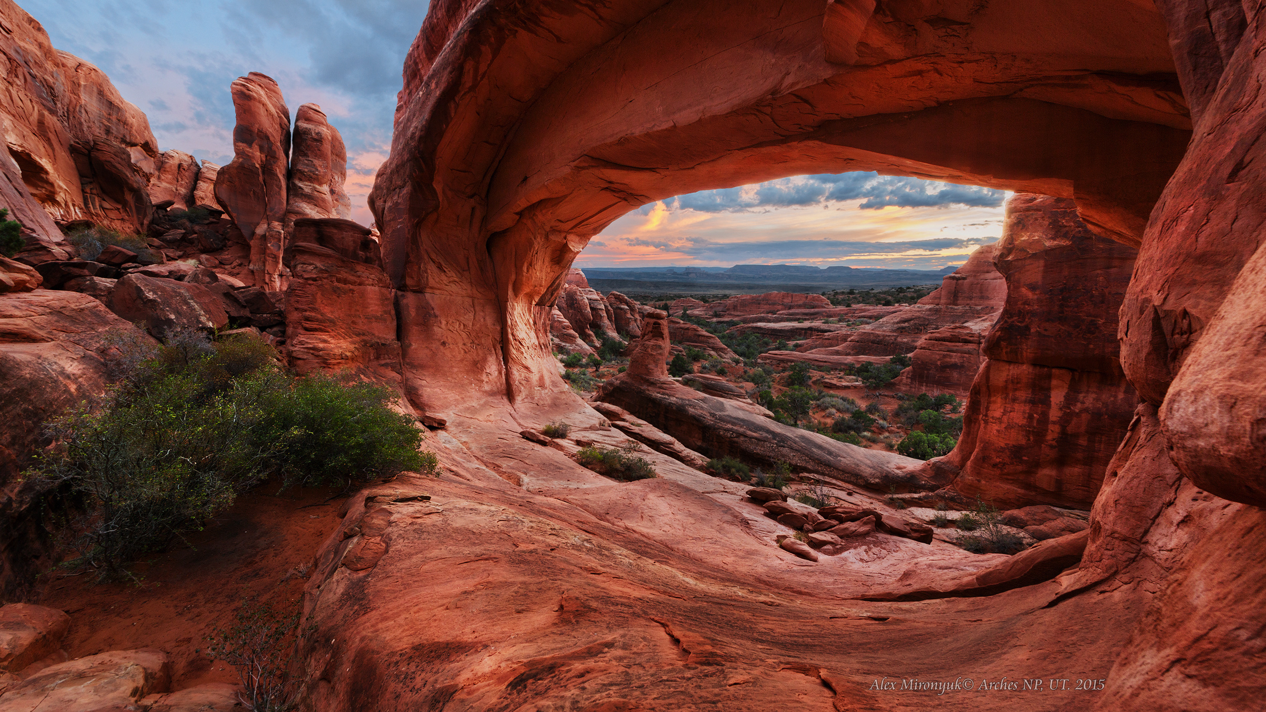 Arches National Park. Pet, Senior, Landscape, portrait studio, photographer in Miami and Sou