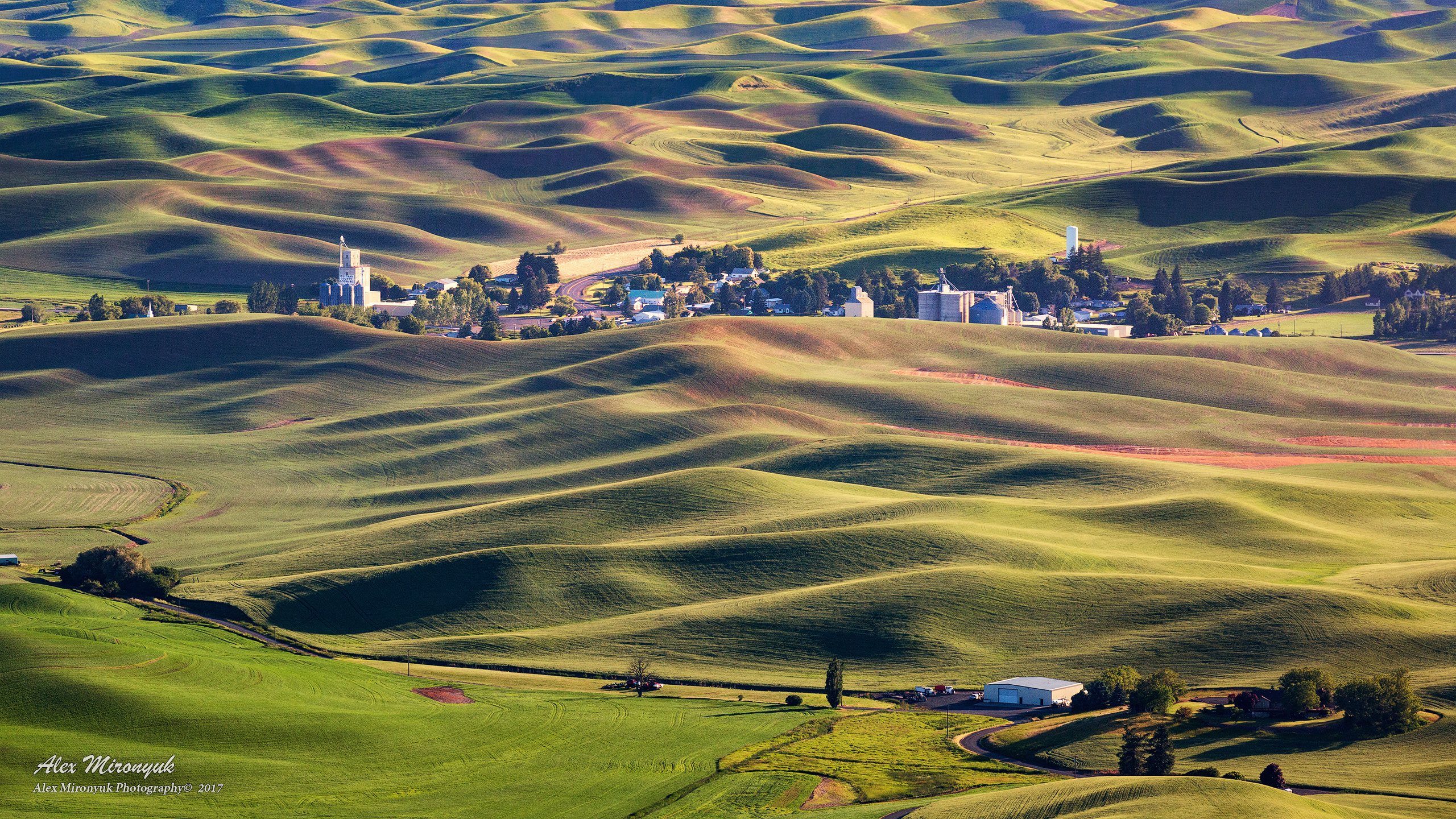 Palouse. Alex Mironyuk Photography