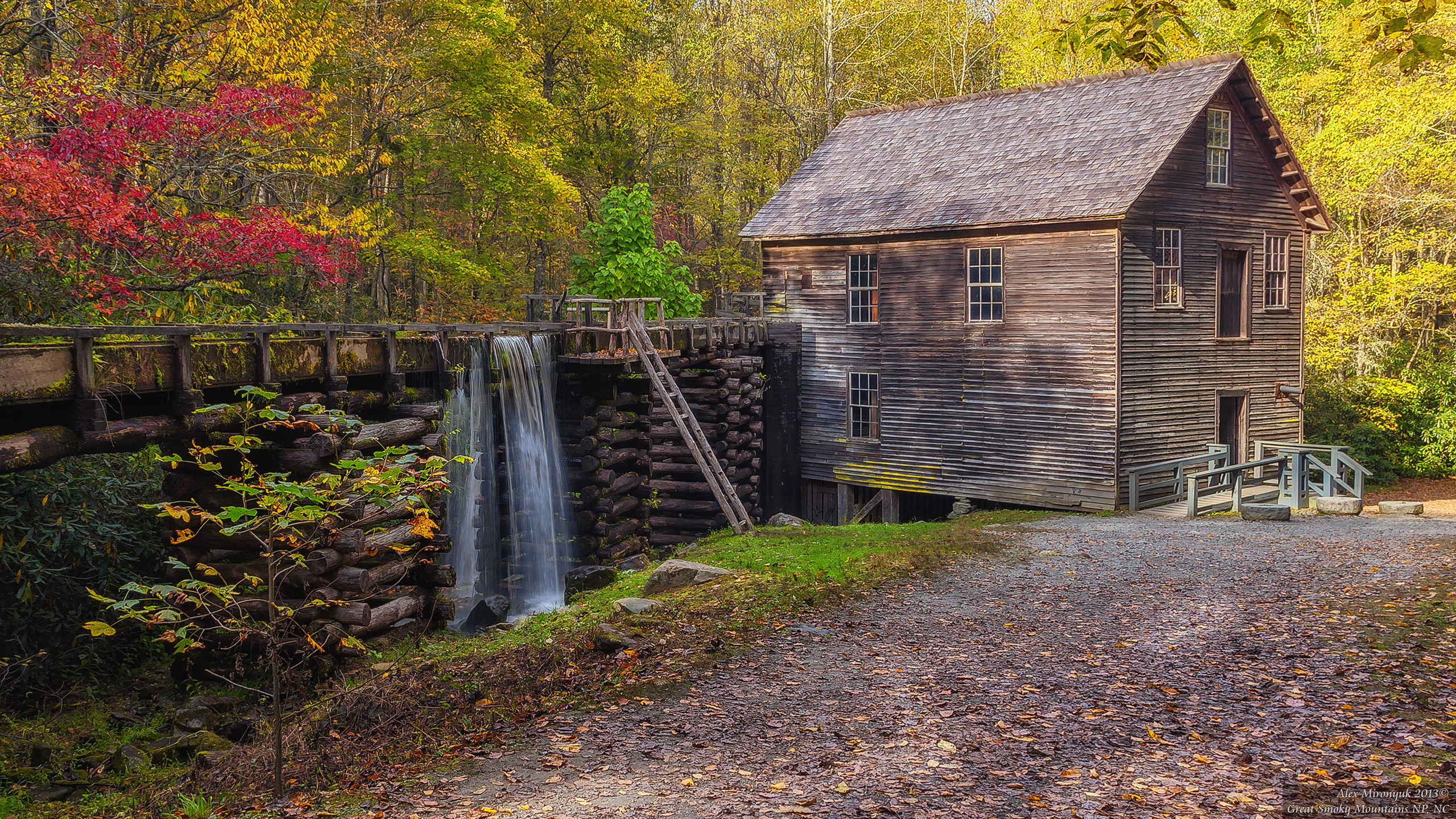 Great Smoky Mountains. Pet, Senior, Landscape, portrait studio, photographer in Miami and Sou