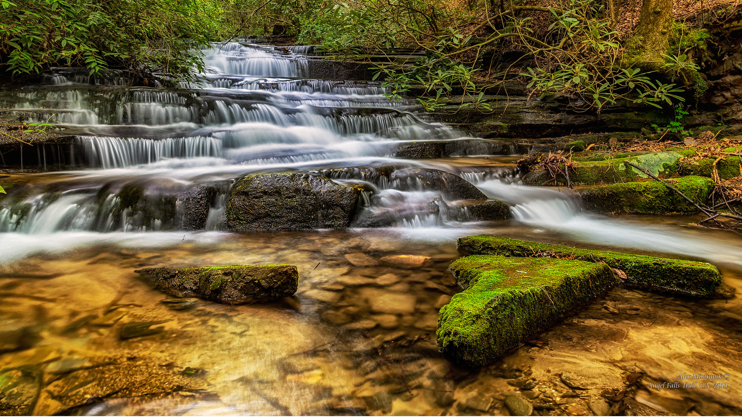 Great Smoky Mountains. Pet, Senior, Landscape, portrait studio, photographer in Miami and Sou