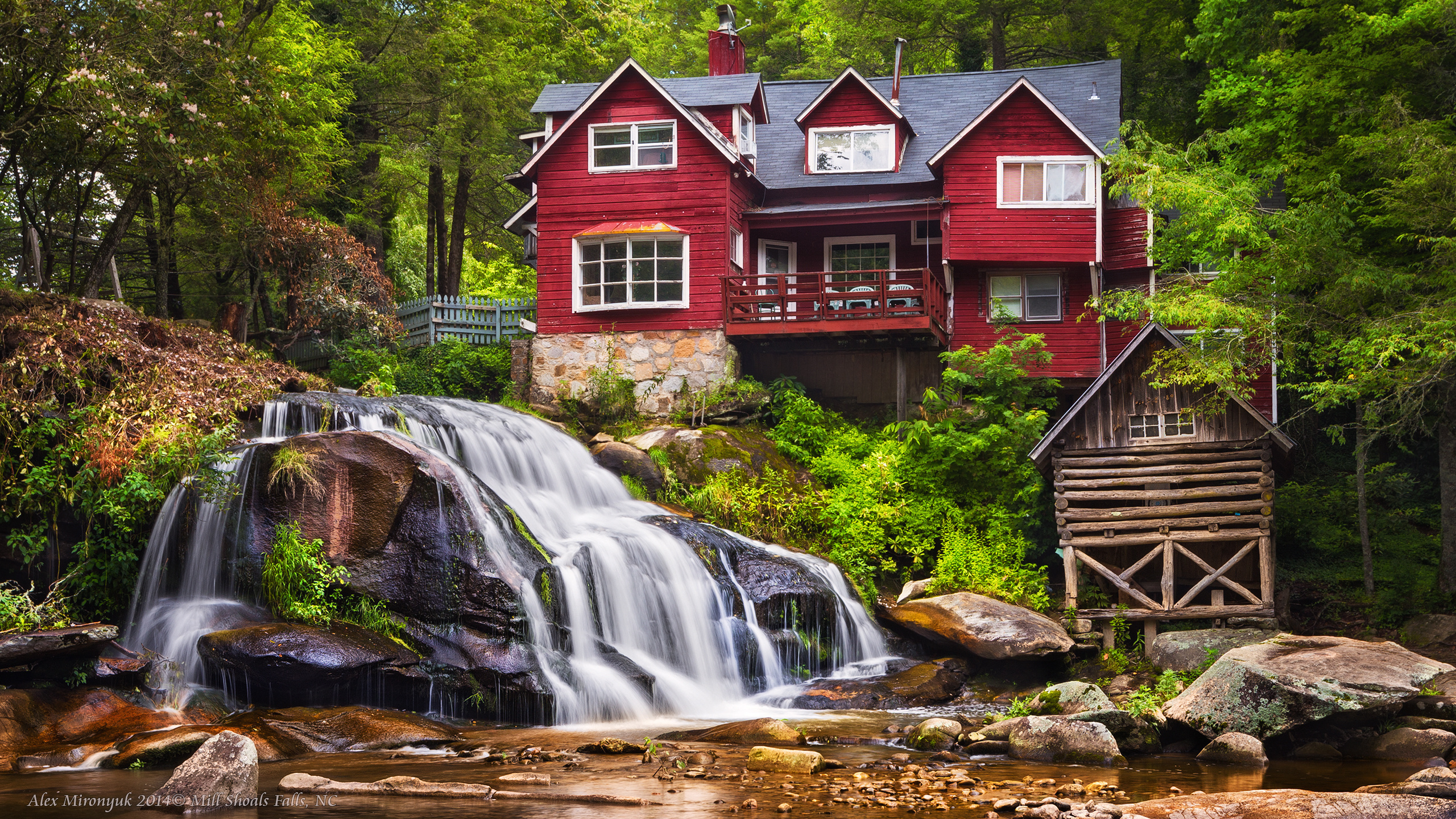 Great Smoky Mountains. Pet, Senior, Landscape, portrait studio, photographer in Miami and Sou