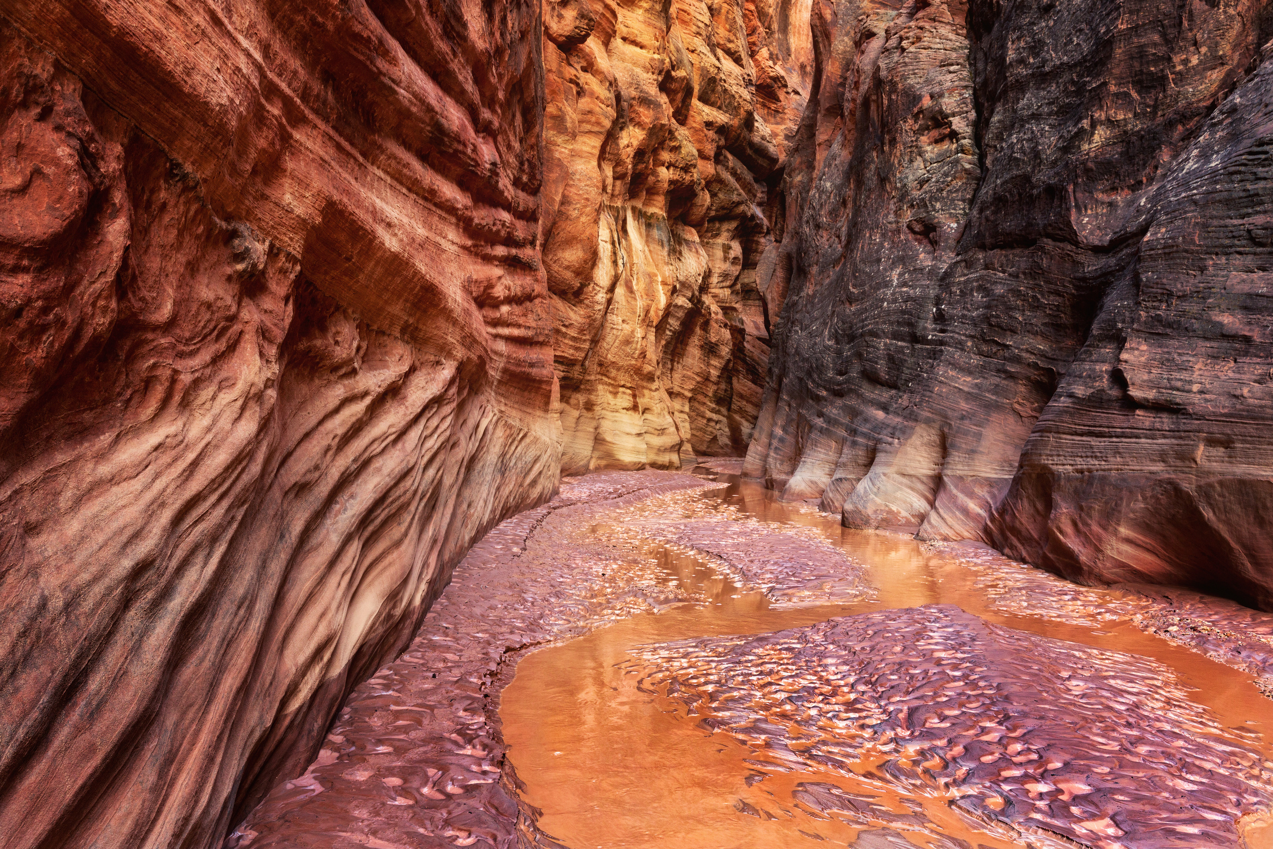 Национальный Монумент Вермилион Клифс. Alex Mironyuk Photography
