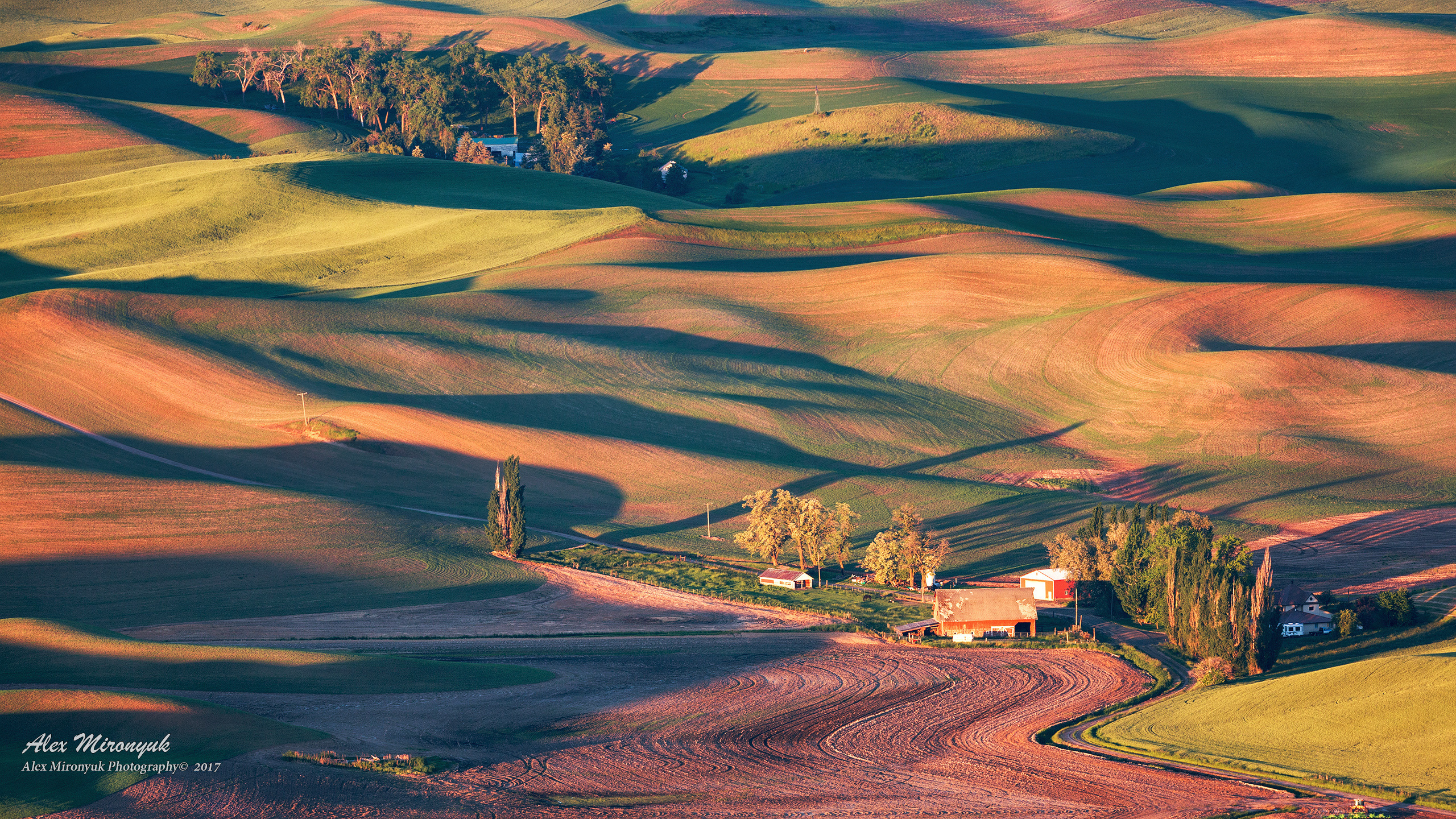 Palouse. Alex Mironyuk Photography