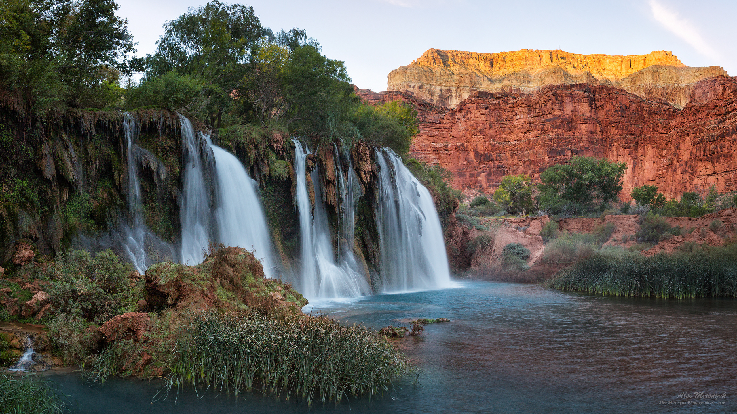 Havasu. Alex Mironyuk Photography