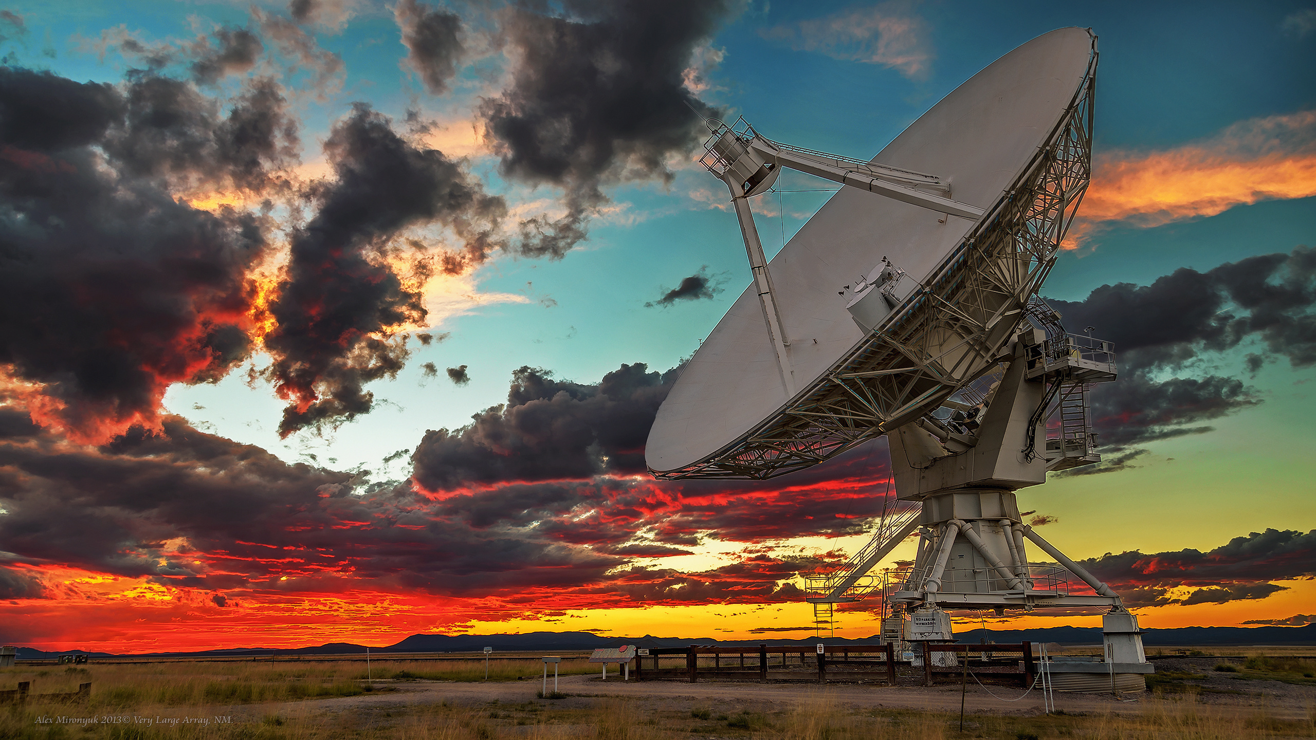 New Mexico Deserts. Pet, Senior, Landscape, portrait studio, photographer in Miami and Sou