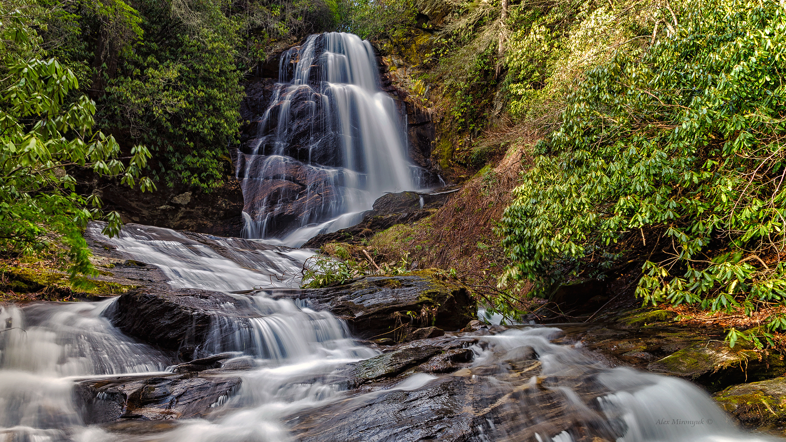 Great Smoky Mountains. Pet, Senior, Landscape, portrait studio, photographer in Miami and Sou