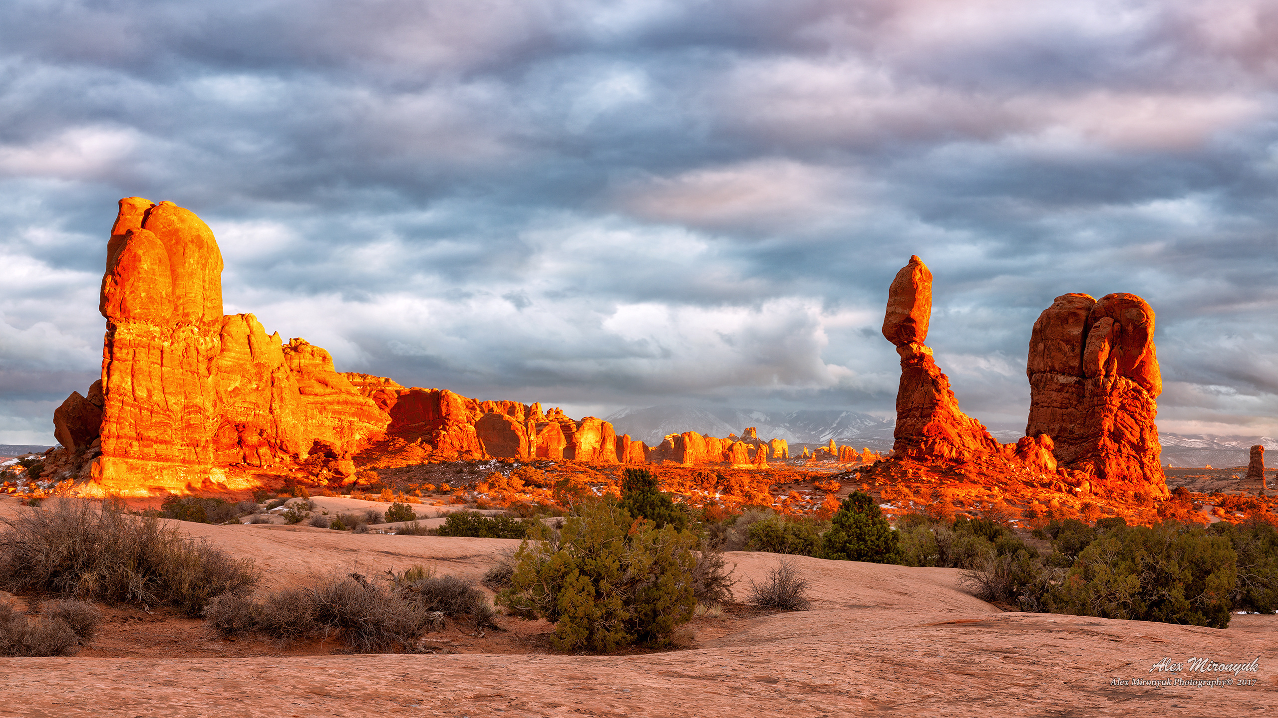Arches National Park. Pet, Senior, Landscape, portrait studio, photographer in Miami and Sou