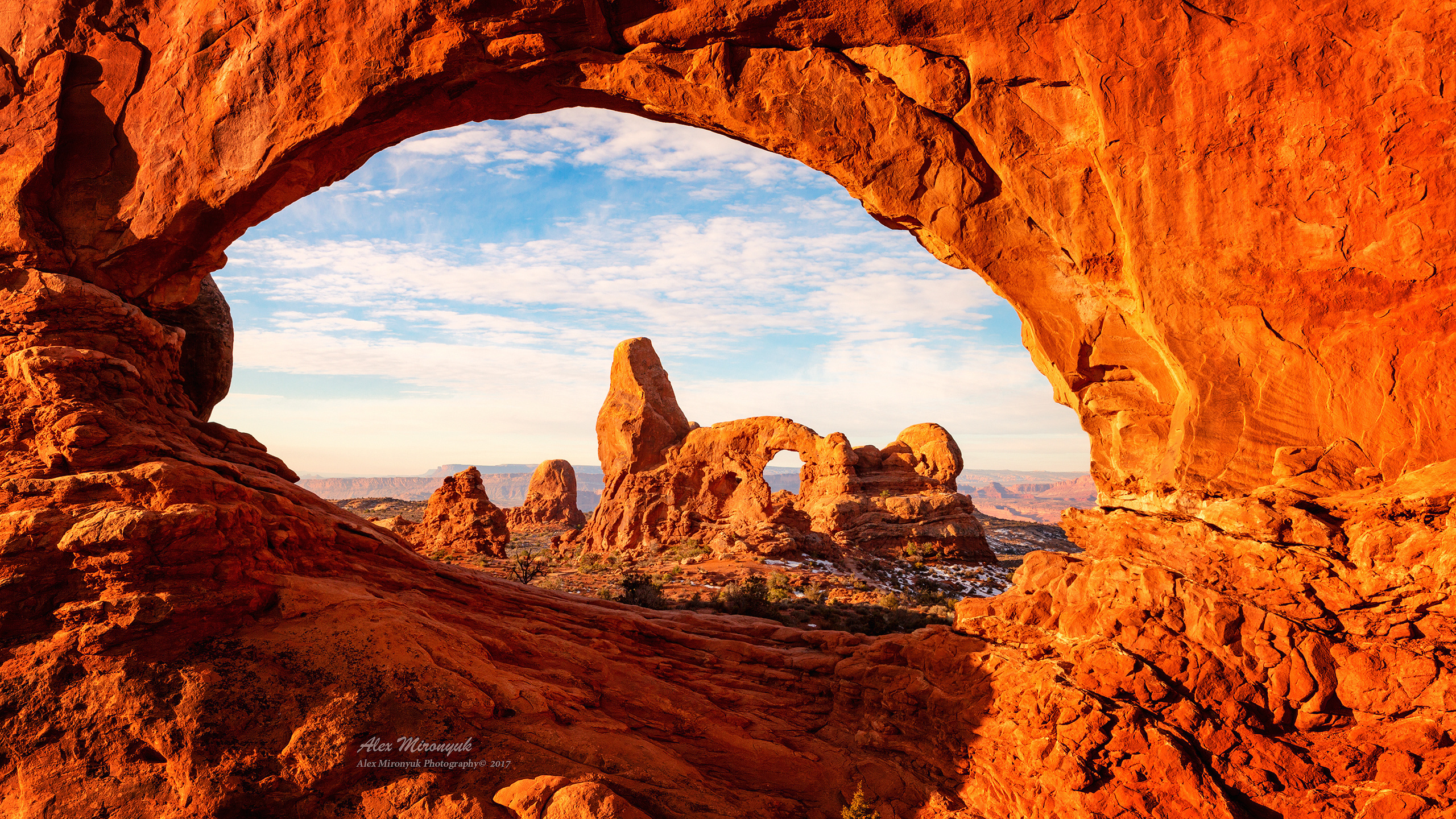 Arches National Park. Pet, Senior, Landscape, portrait studio, photographer in Miami and Sou