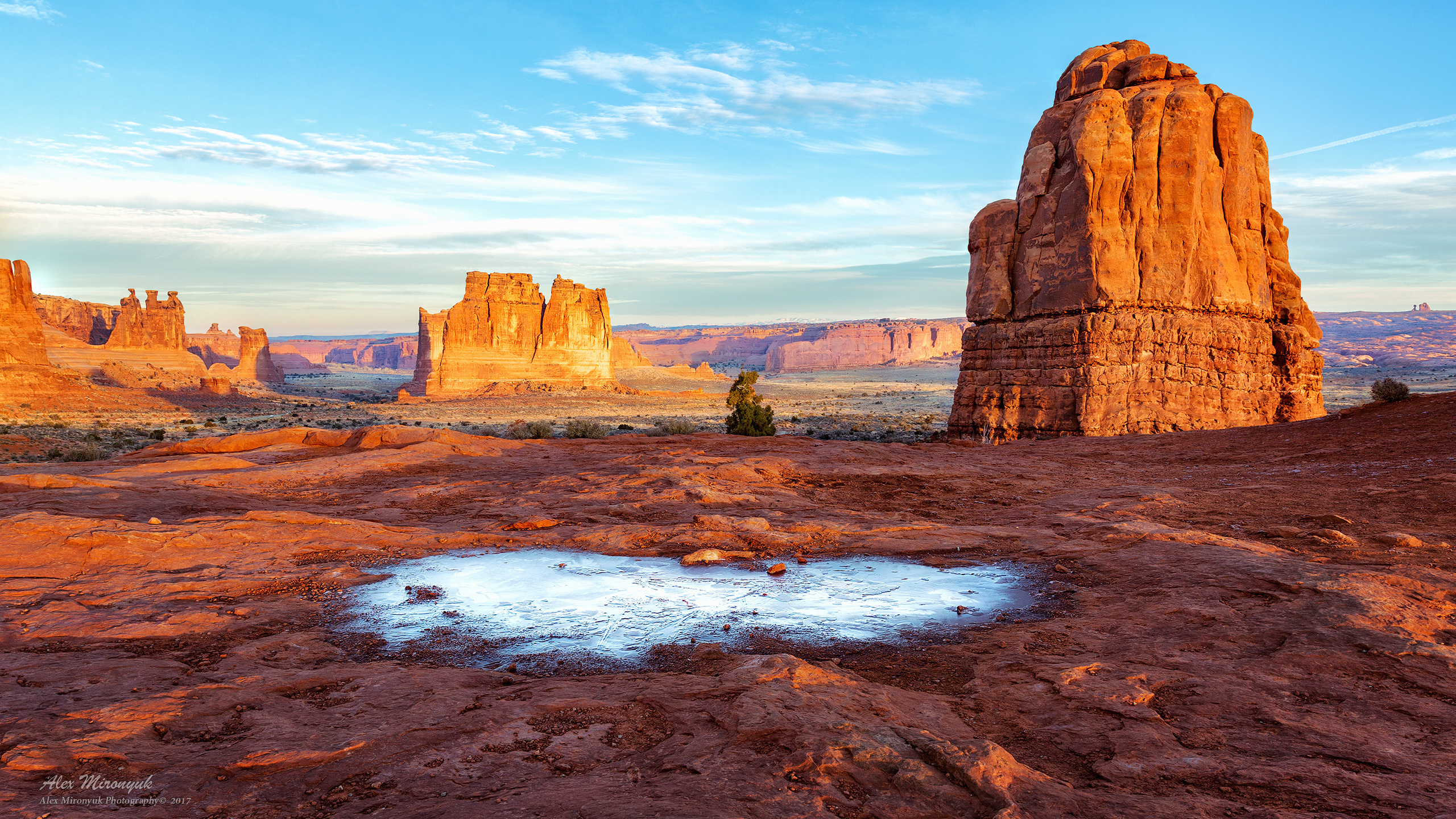 Arches National Park. Pet, Senior, Landscape, portrait studio, photographer in Miami and Sou