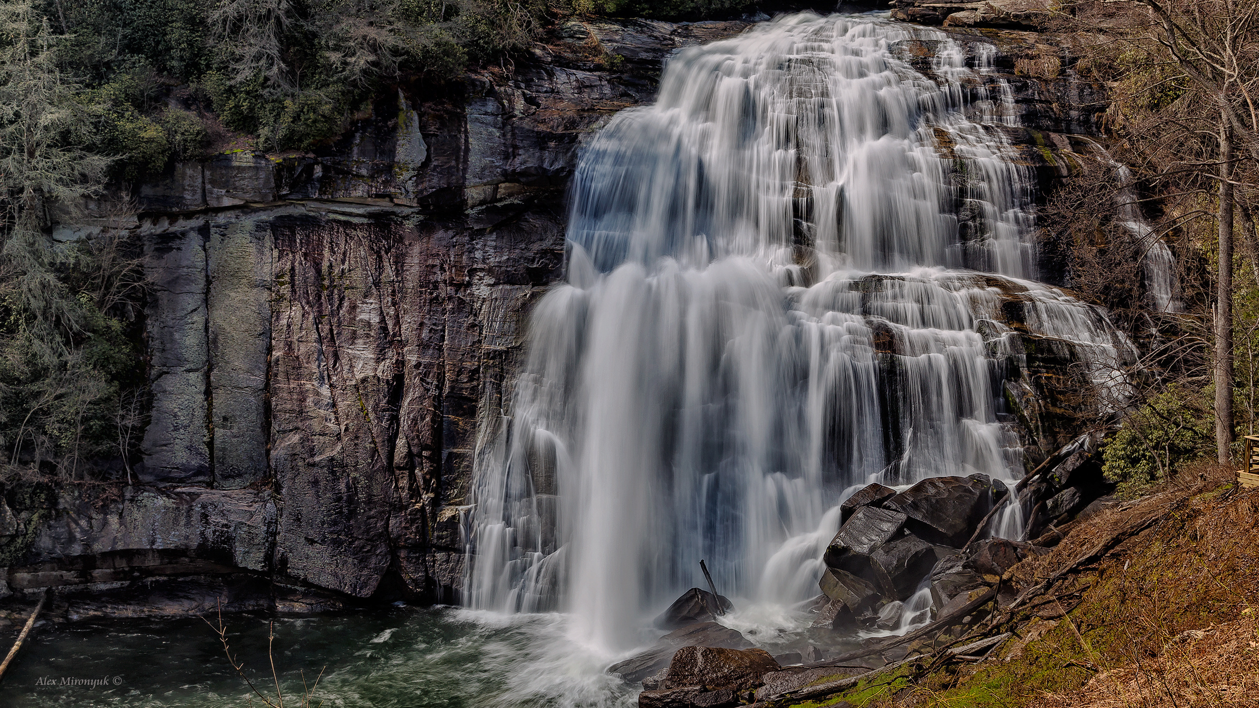 Great Smoky Mountains. Pet, Senior, Landscape, portrait studio, photographer in Miami and Sou