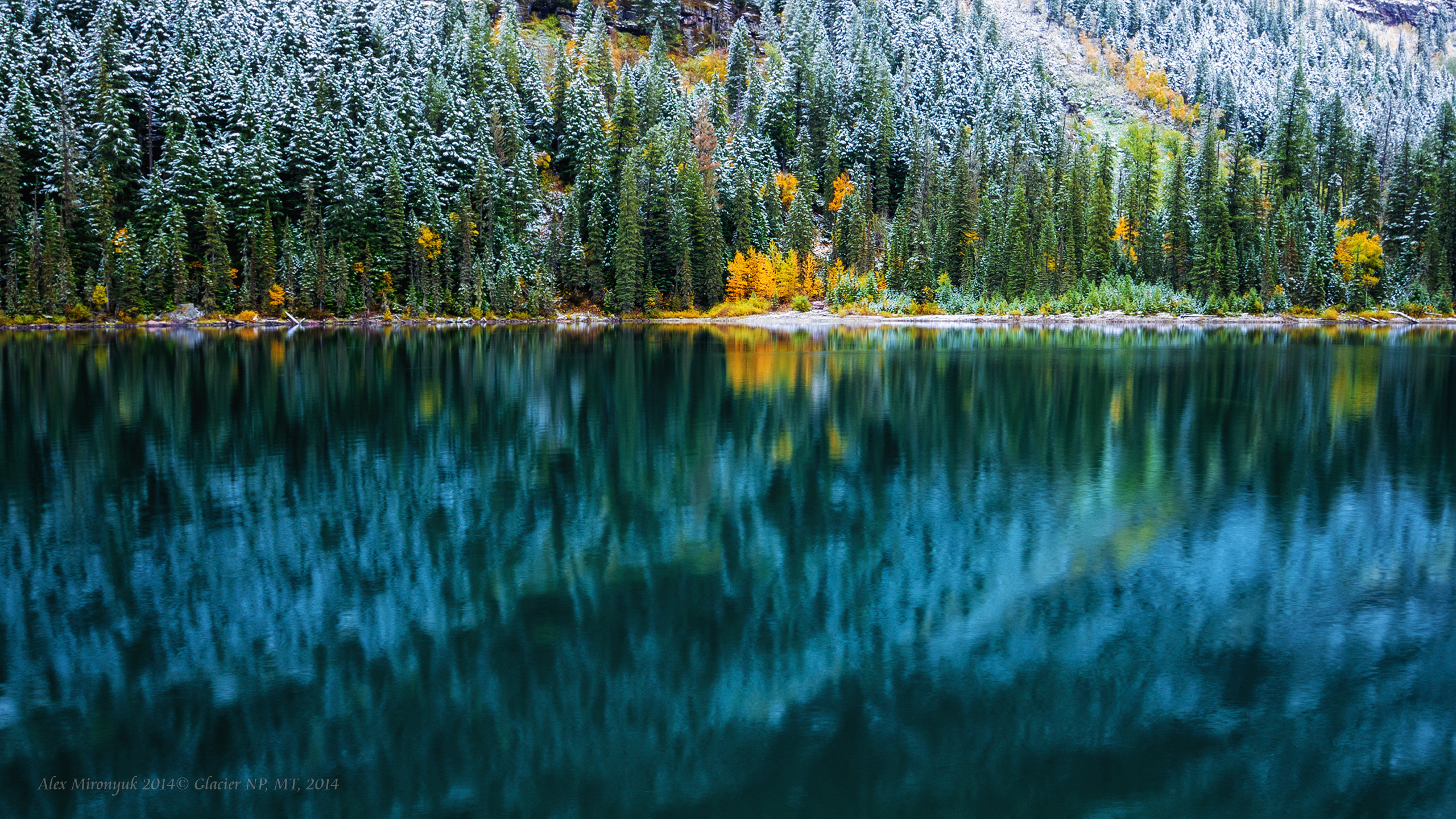 Glacier National Park. Pet, Senior, Landscape, portrait studio, photographer in Miami and Sou