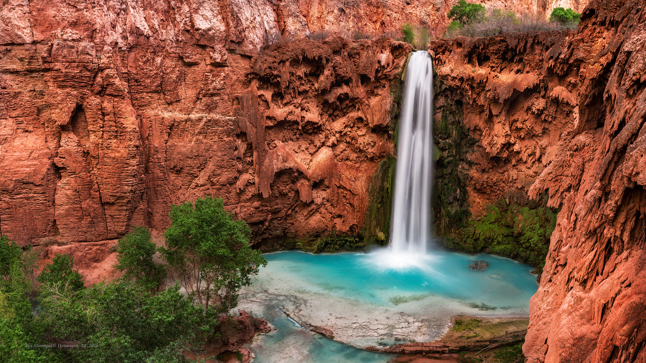 Havasu. Alex Mironyuk Photography