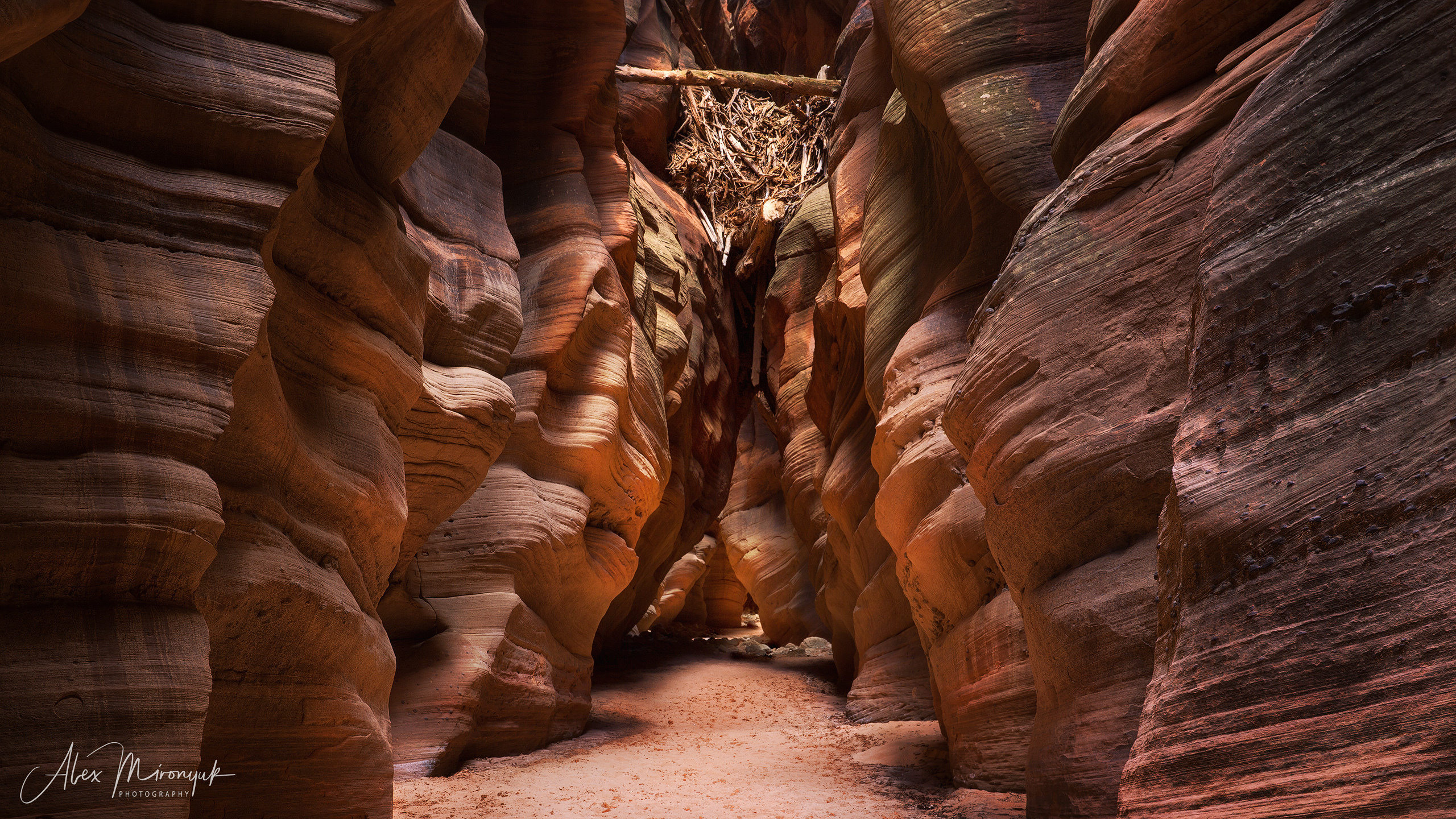 Slot Canyons. Alex Mironyuk Photography